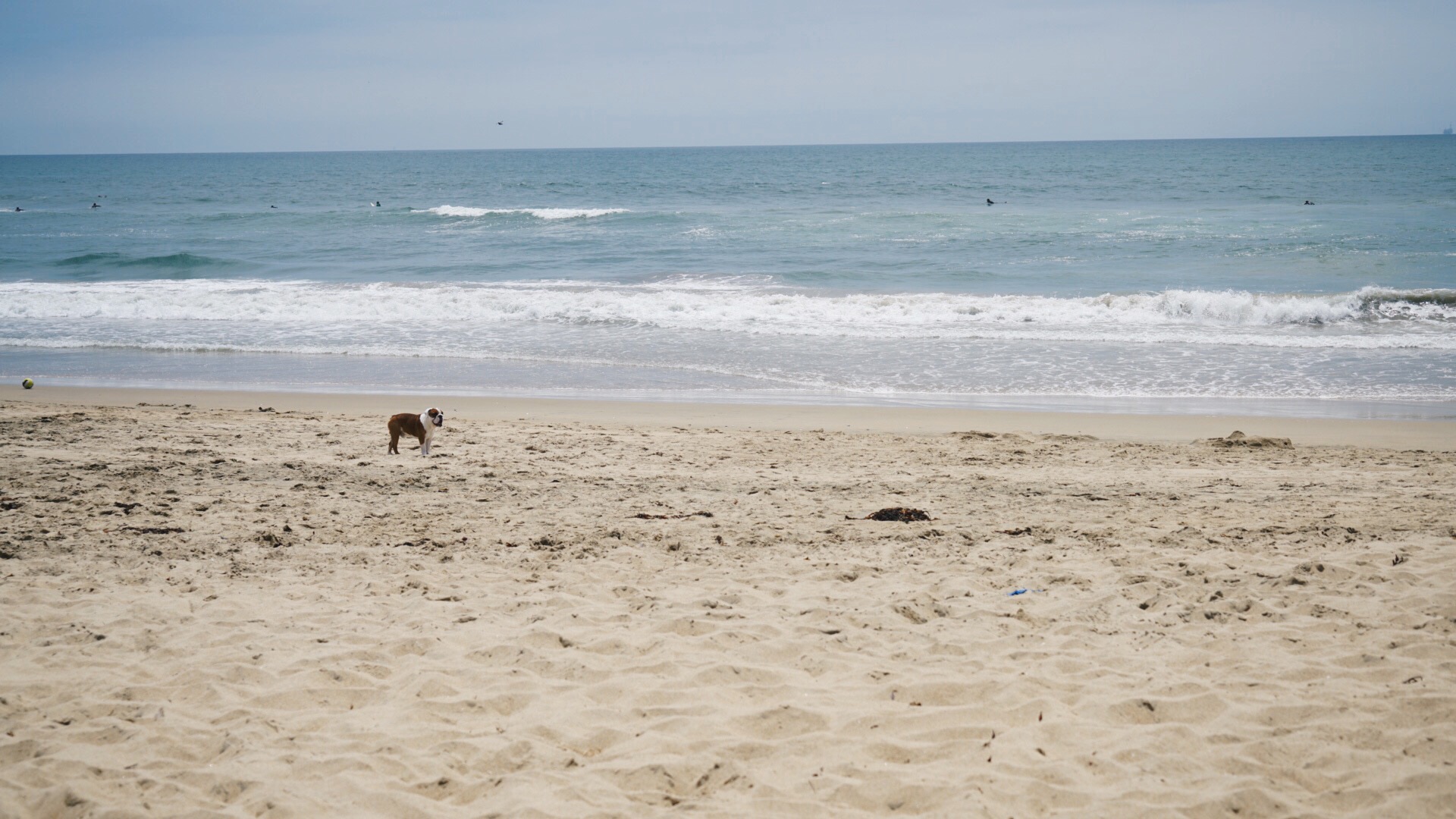 Huntington Beach, CA