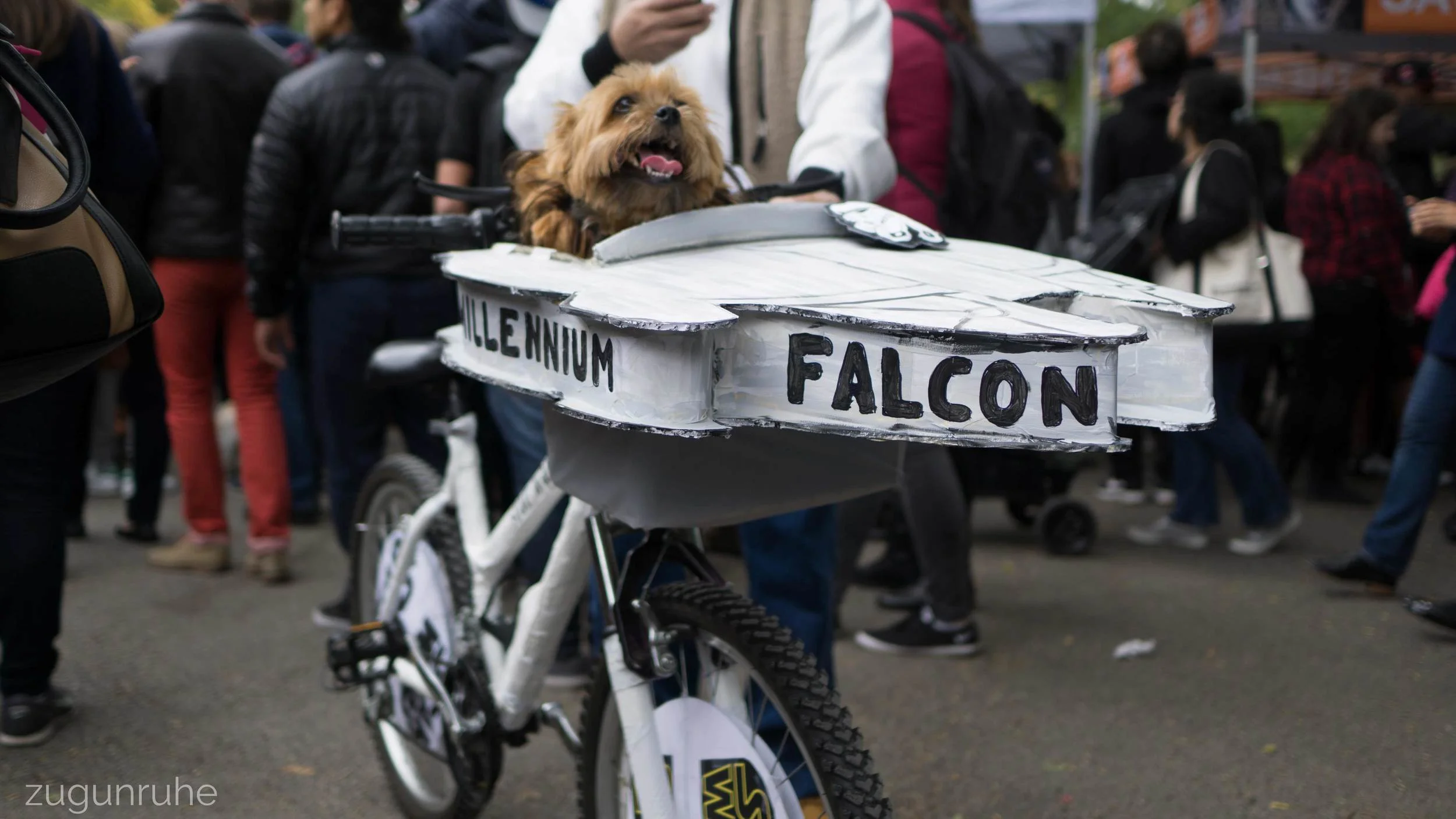 Tompkins Square Park Halloween Dog Parade