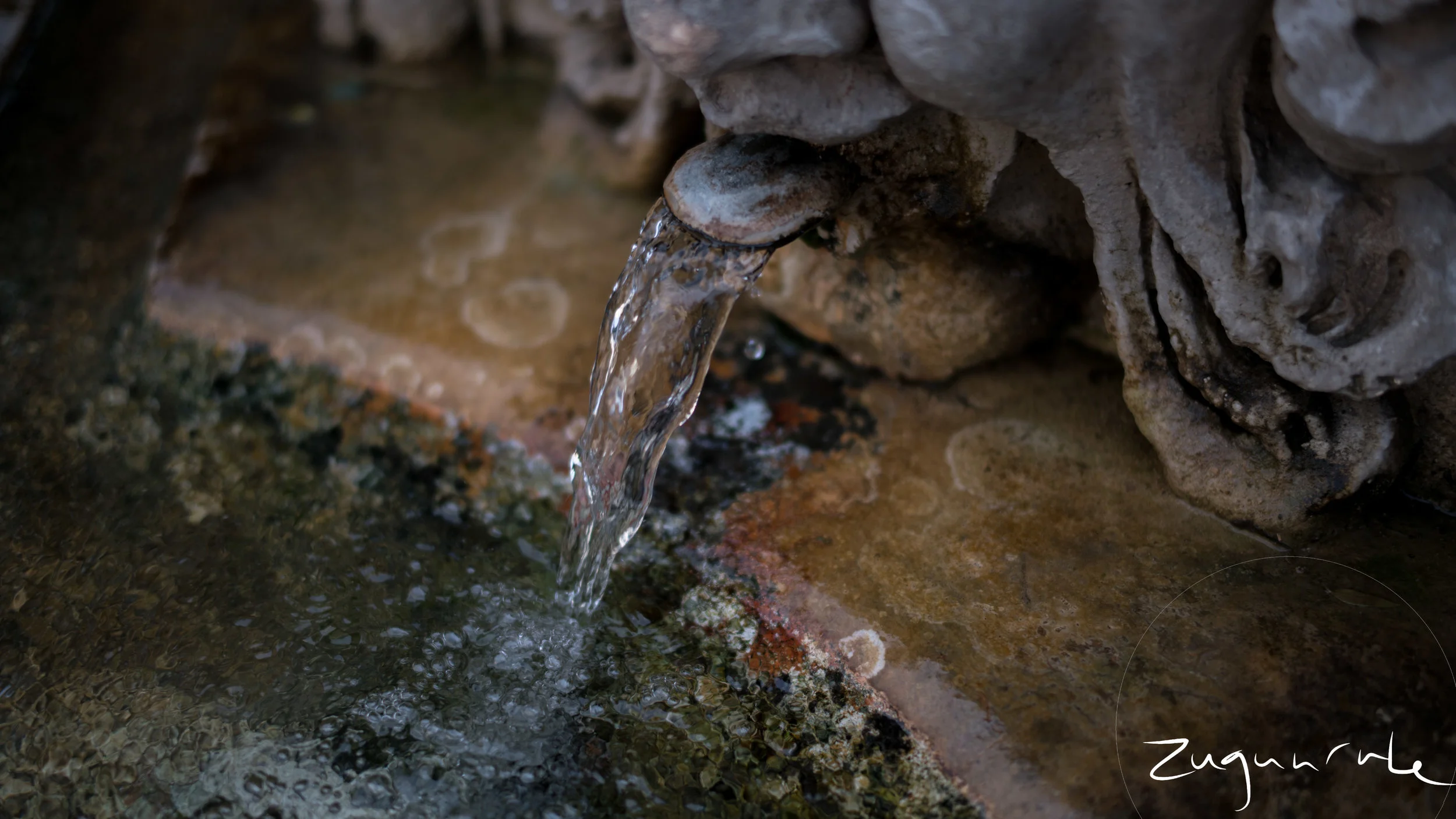 _DSC8283.jpg