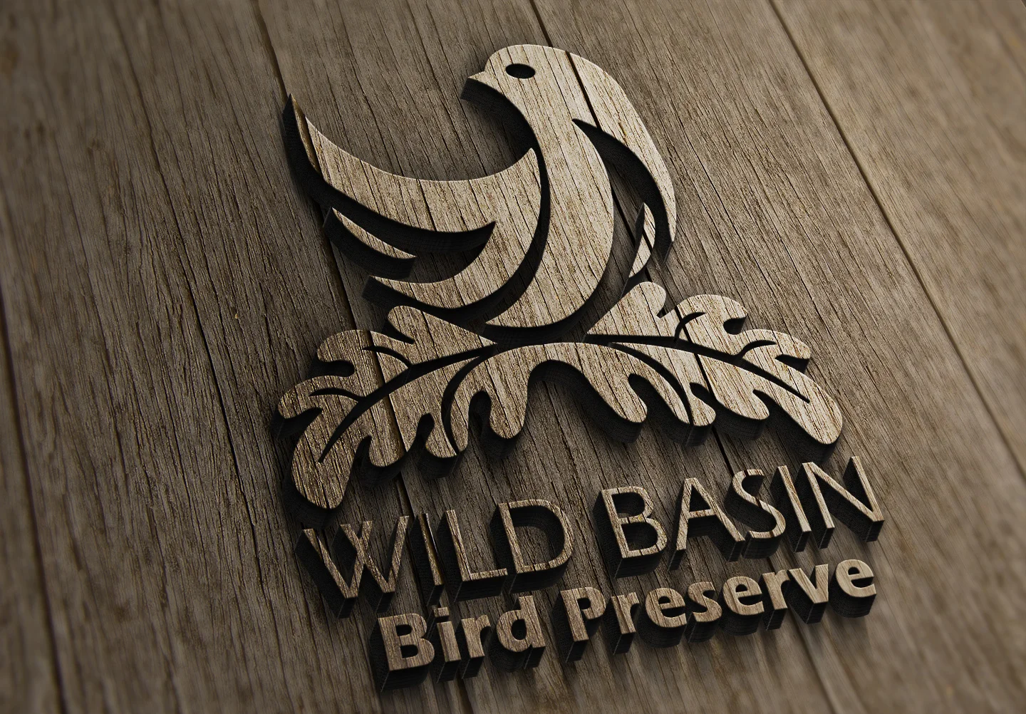 WILD BASIN Identity and Environmental