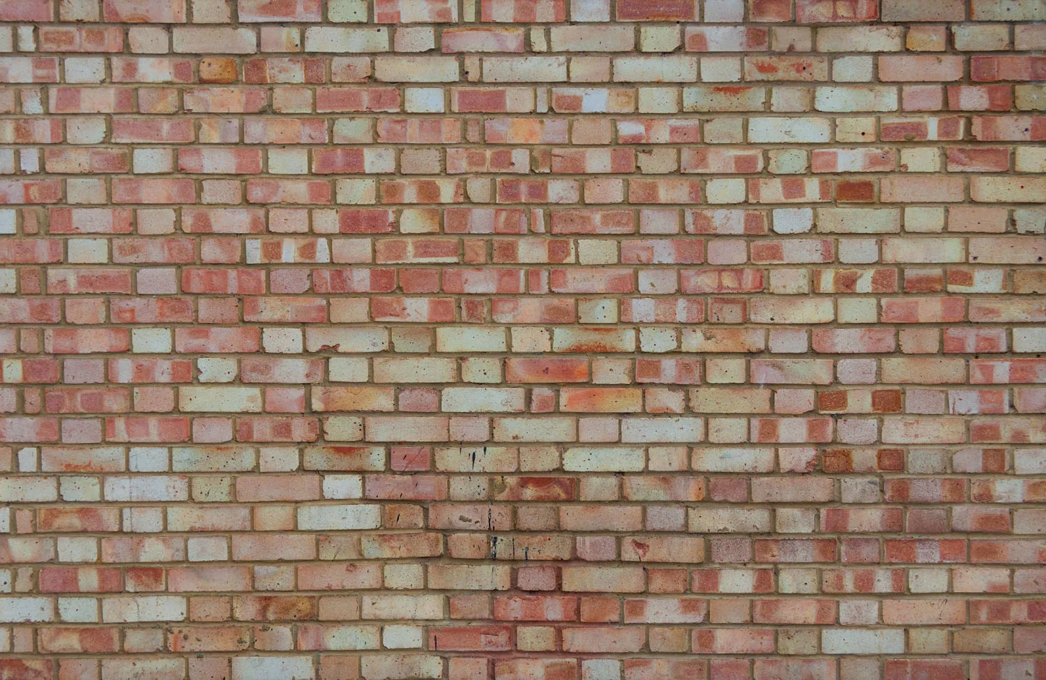 08_opt.jpg