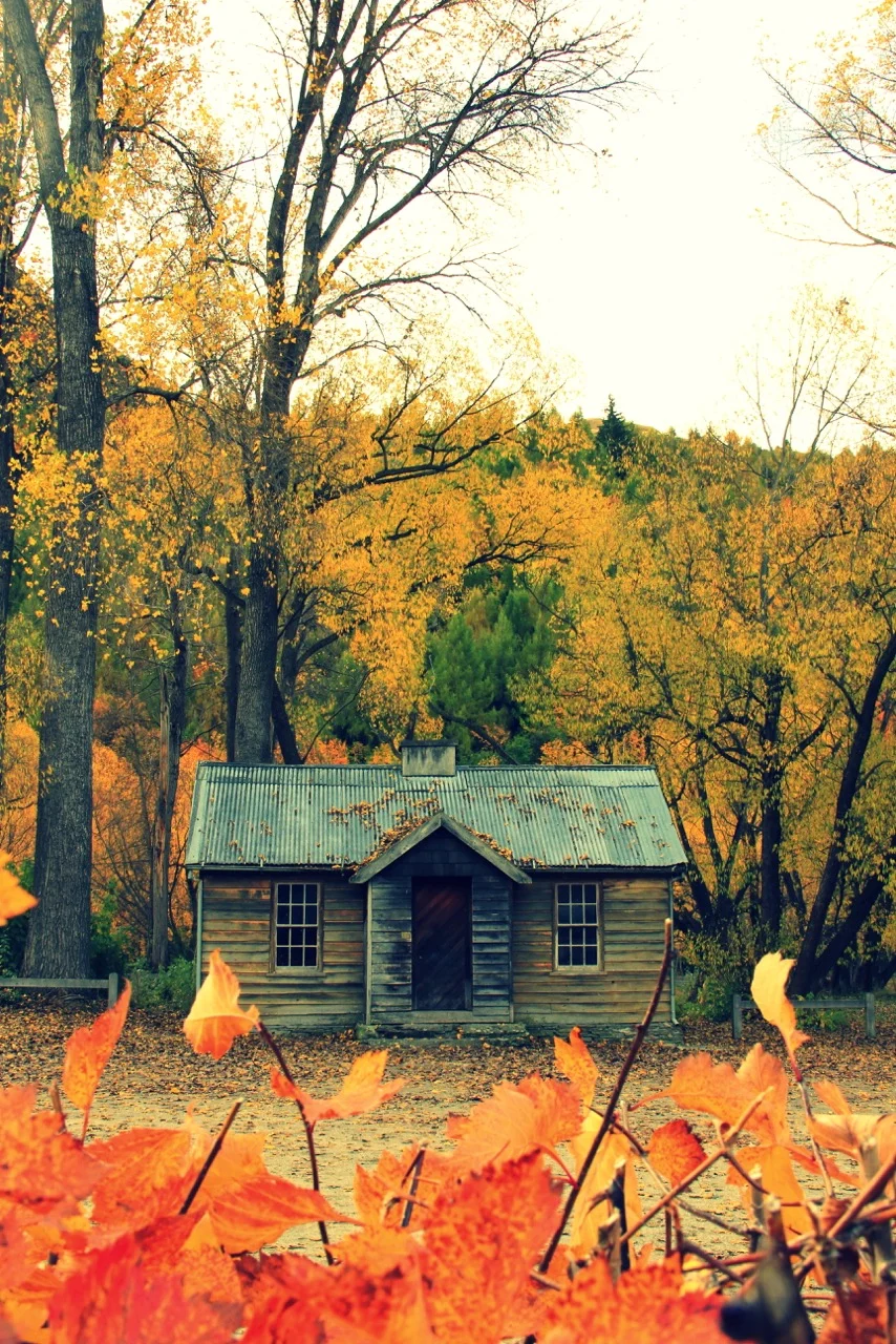 1May13 Arrowtown autumn (26).jpeg