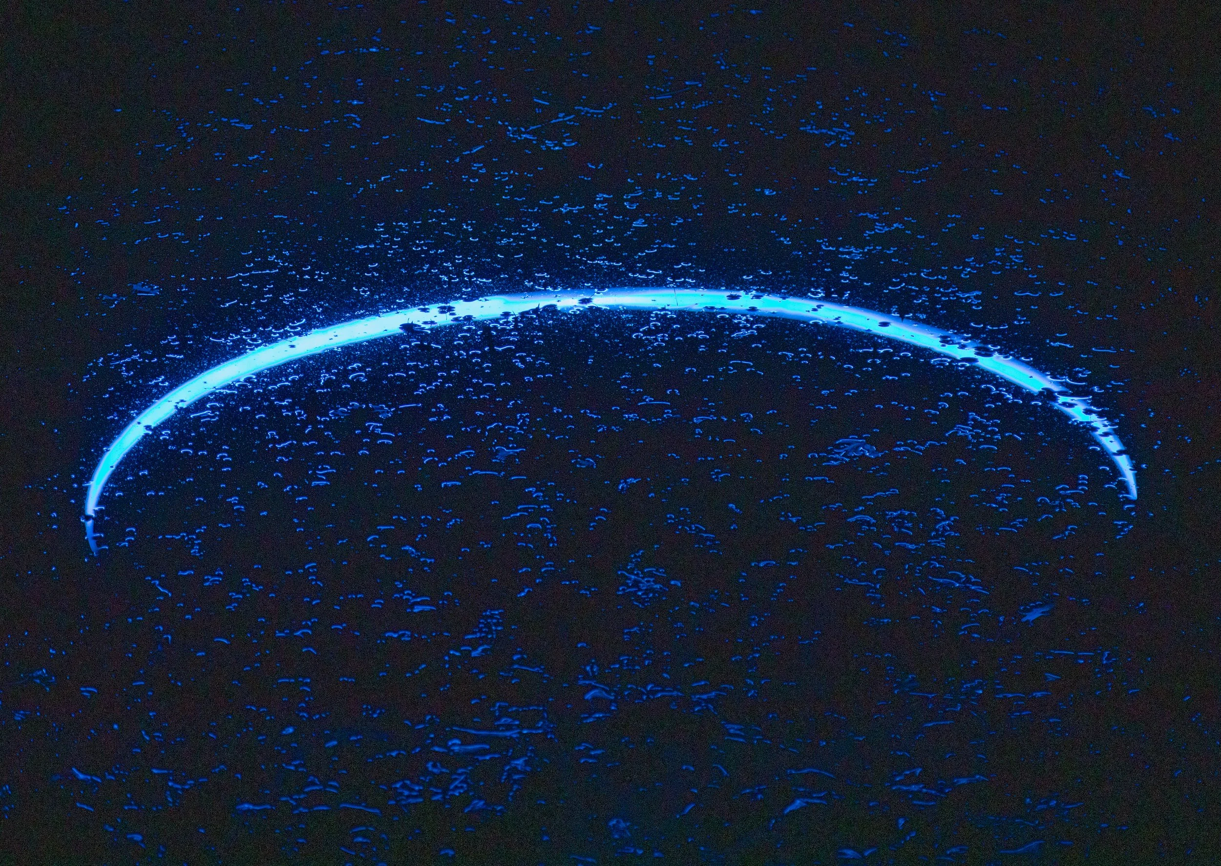 2019_RingofLight_A4-1.jpg