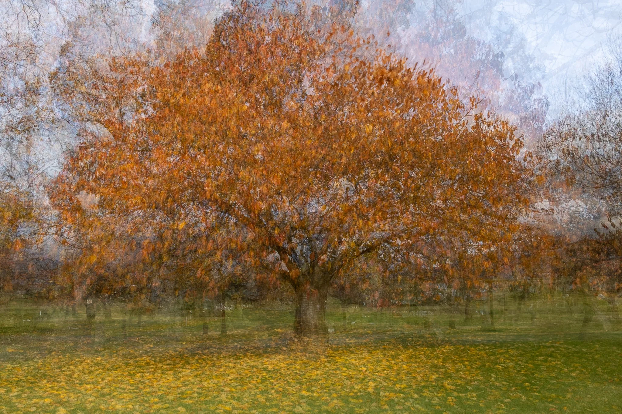 Autumn_Millbrook_PhotosbyLeigh-1.jpg