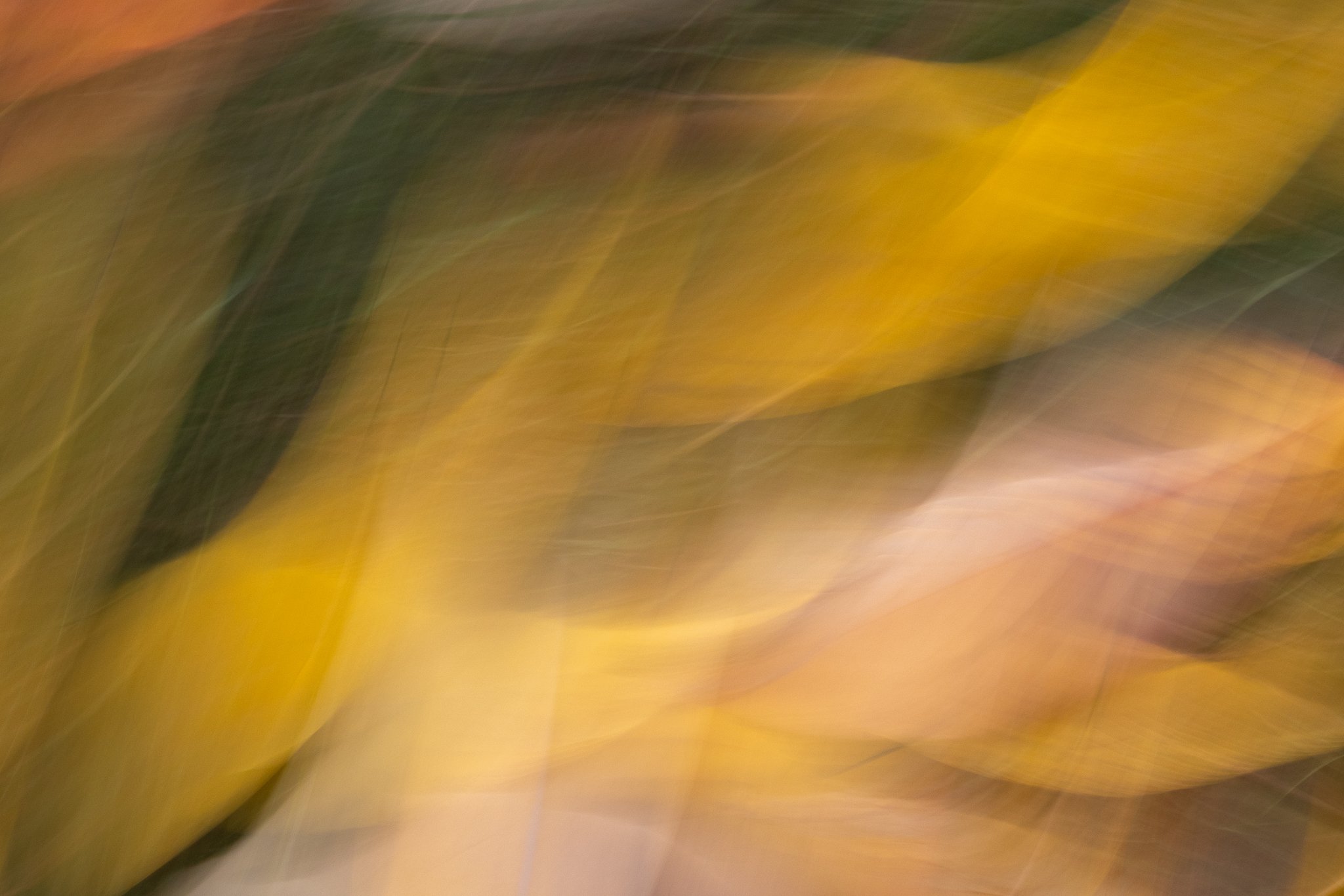 Autumn_Millbrook_PhotosbyLeigh-4.jpg