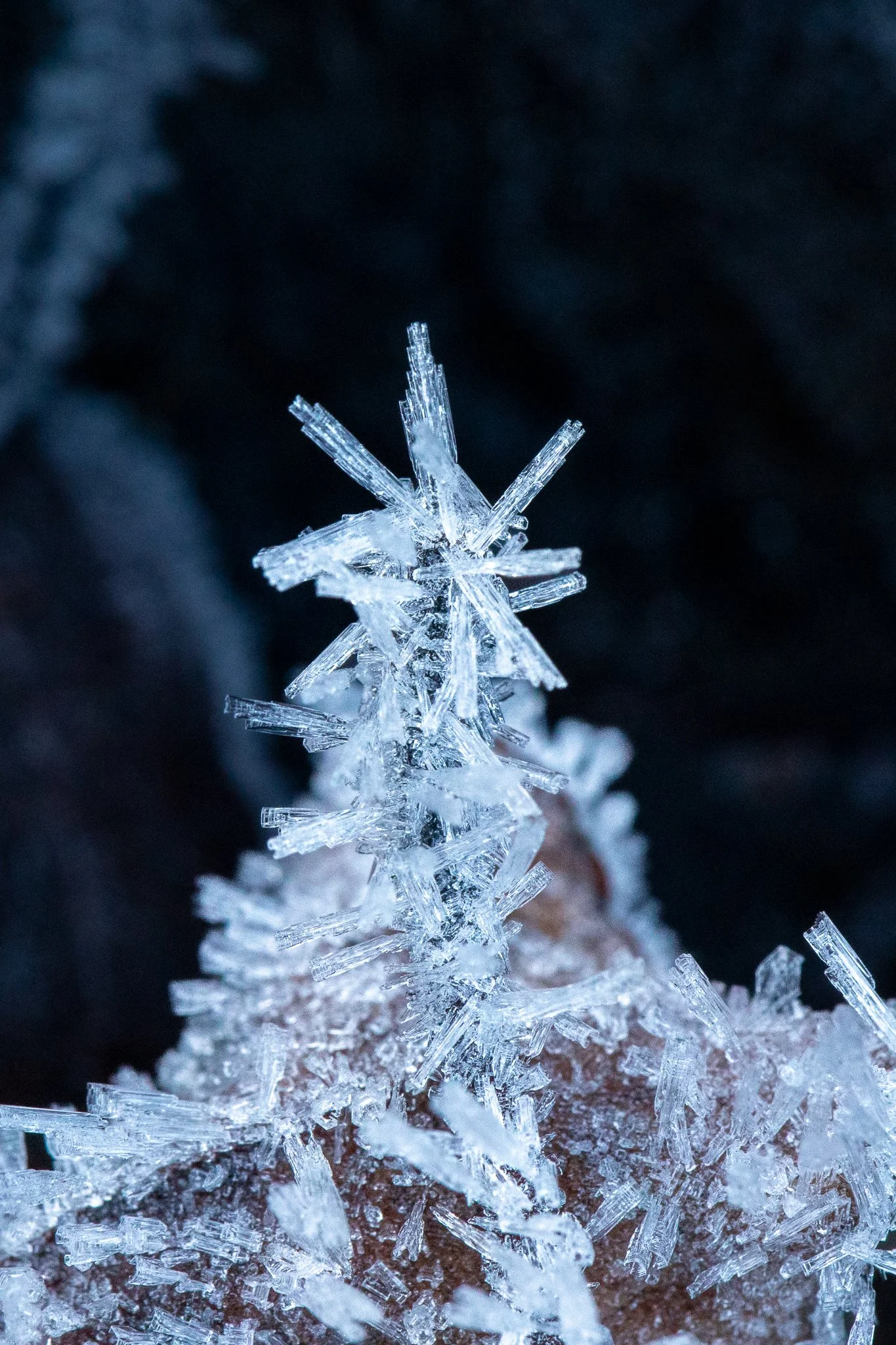FrozenFingers_15June_PhotosbyLeigh-2.jpg