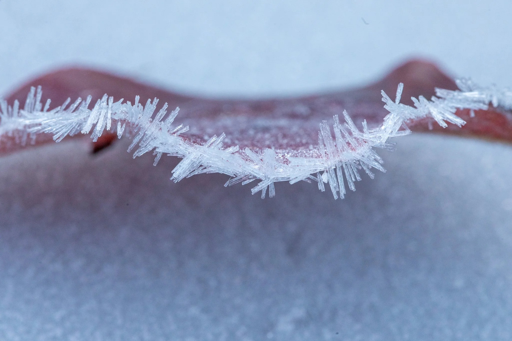 FrozenFingers_15June_PhotosbyLeigh-4.jpg