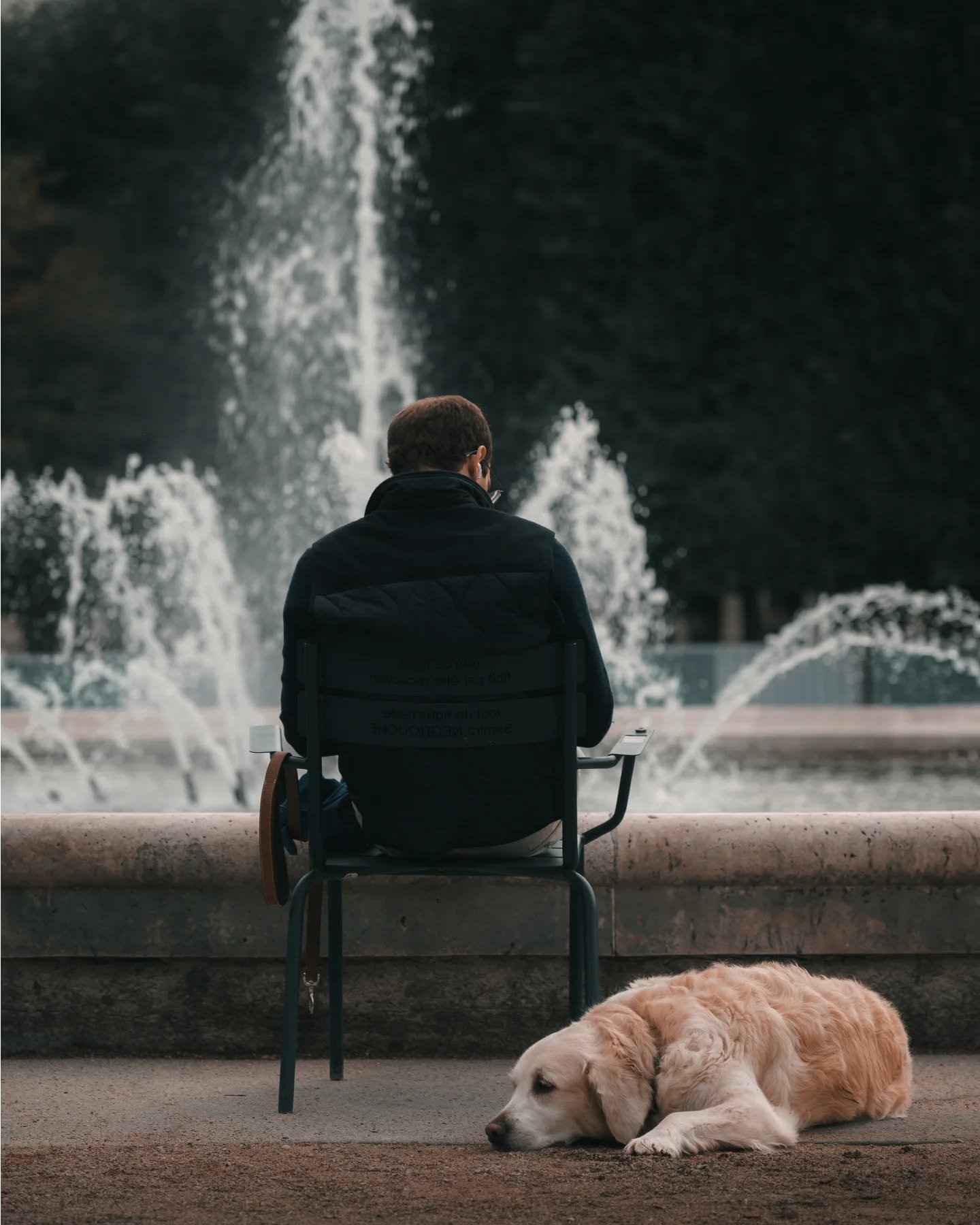 Teaching photo tours around Paris gives me a great reason to not be lazy and catch up a bit on my street photography 

#parisfrance #paris #parisstreetphoto #streetphotography #dogsofinstagram #jardindupalaisroyal