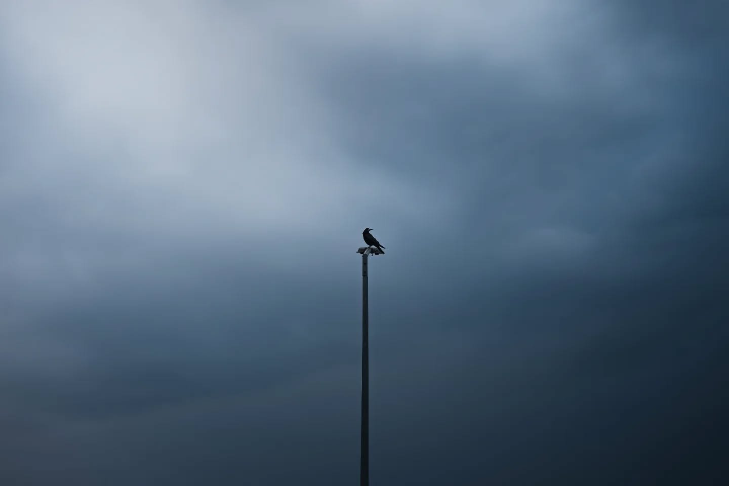The watcher

#crow #birdphotography #minimalism #minimalist #darkclouds #darkaesthetic #birdsofinstagram #birdsilhouette #minimal #moodygrams #MoodySky