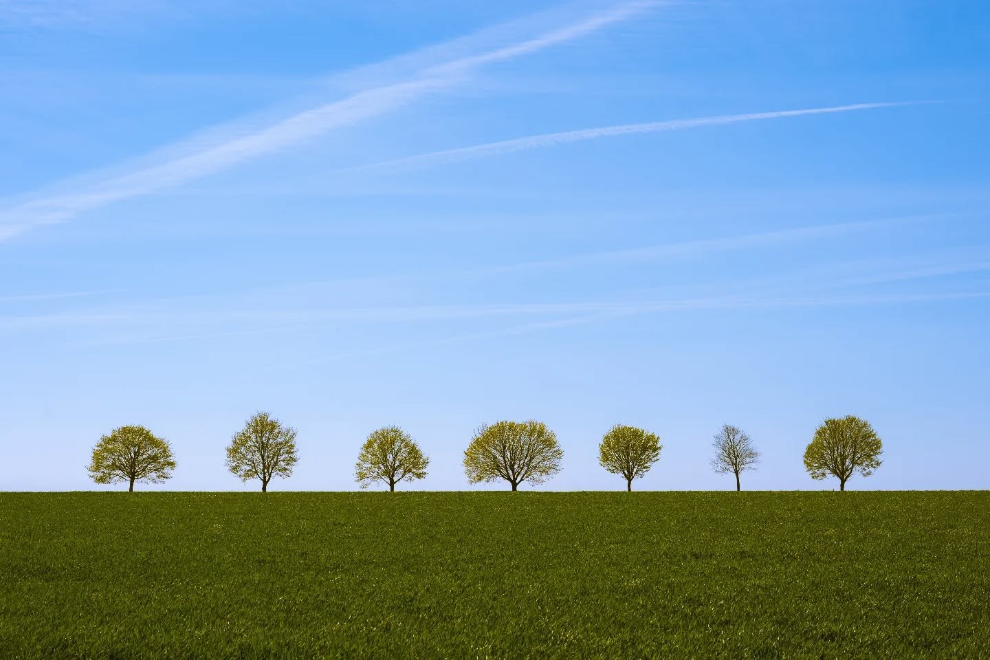 I'd much rather ditch the highway and explore the unknown roads

#minimalism #countryside #minimalist #cleanbeauty