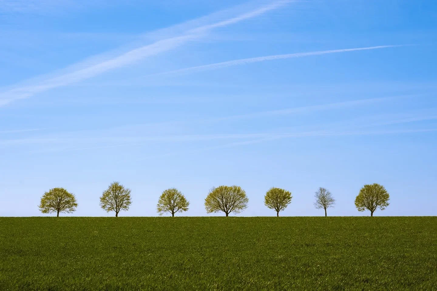 I'd much rather ditch the highway and explore the unknown roads

#minimalism #countryside #minimalist #cleanbeauty