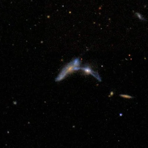 From Figure A6 of Scudder et al. 2015 . The two galaxies in this interaction have star formation rates which differ by a factor of two. Could the difference be driven by a difference in gas content?