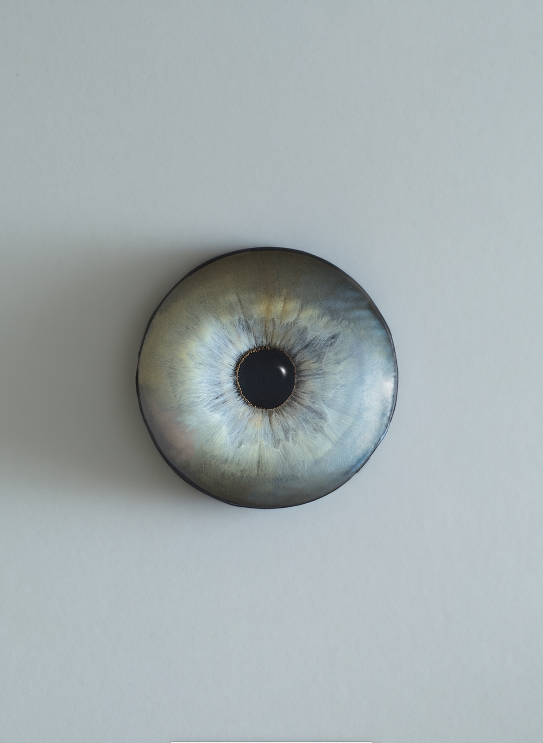 Capture d’écran 2024-09-16 à 16.44.43.png