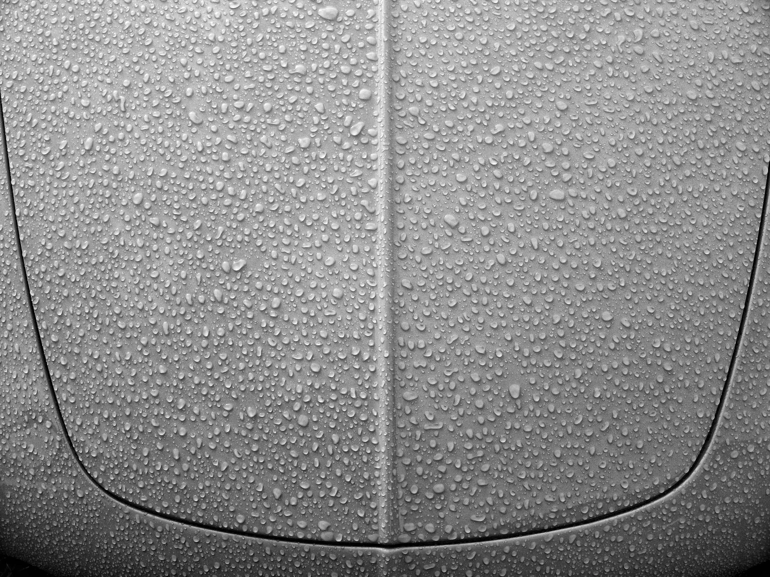 Volkswagen Ghia - detail - bonnet