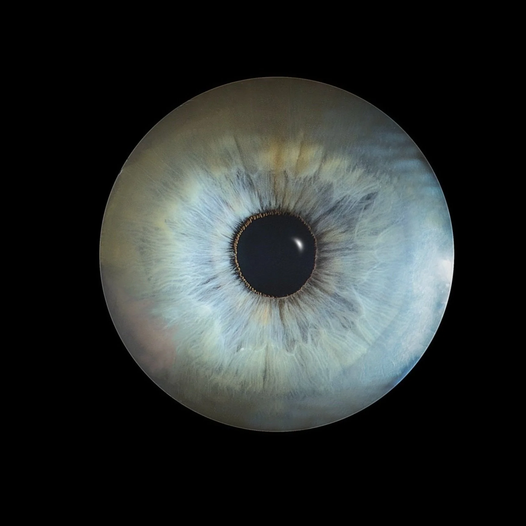 2024_IRIS_Trompert_Sabina _DSC3965 copie.jpg