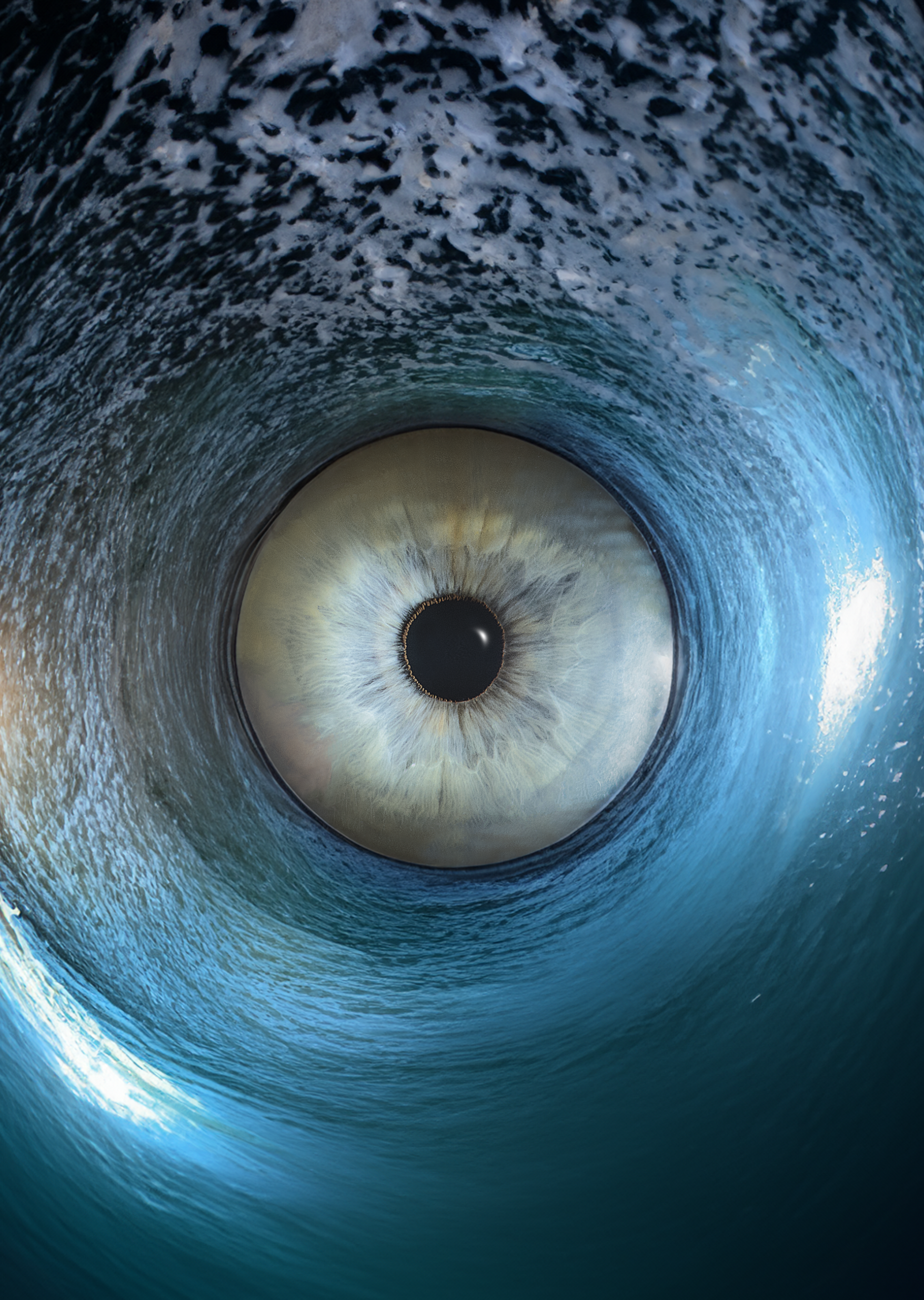 Capture d’écran 2024-09-16 à 17.04.09.png