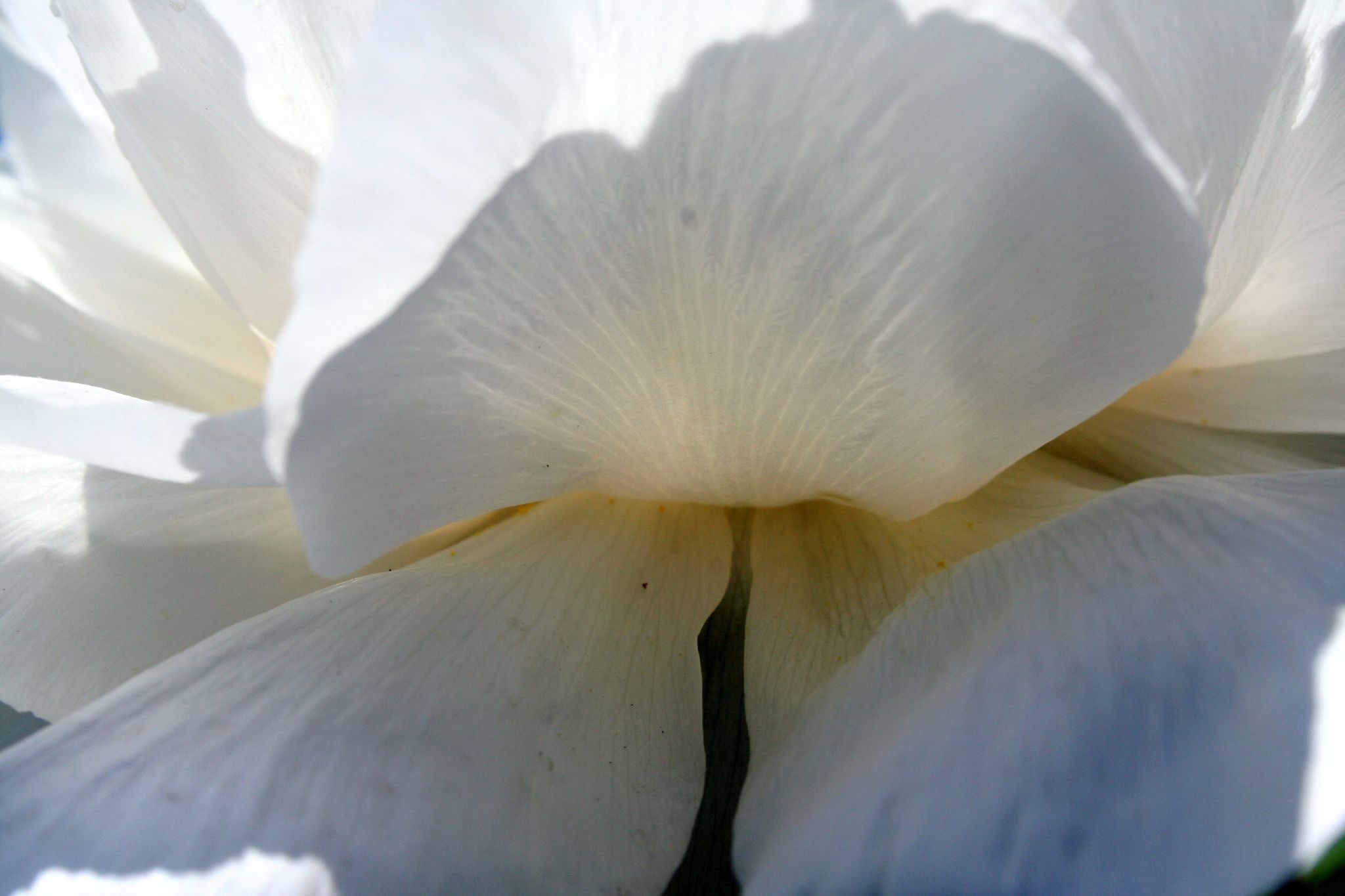 light and shadow