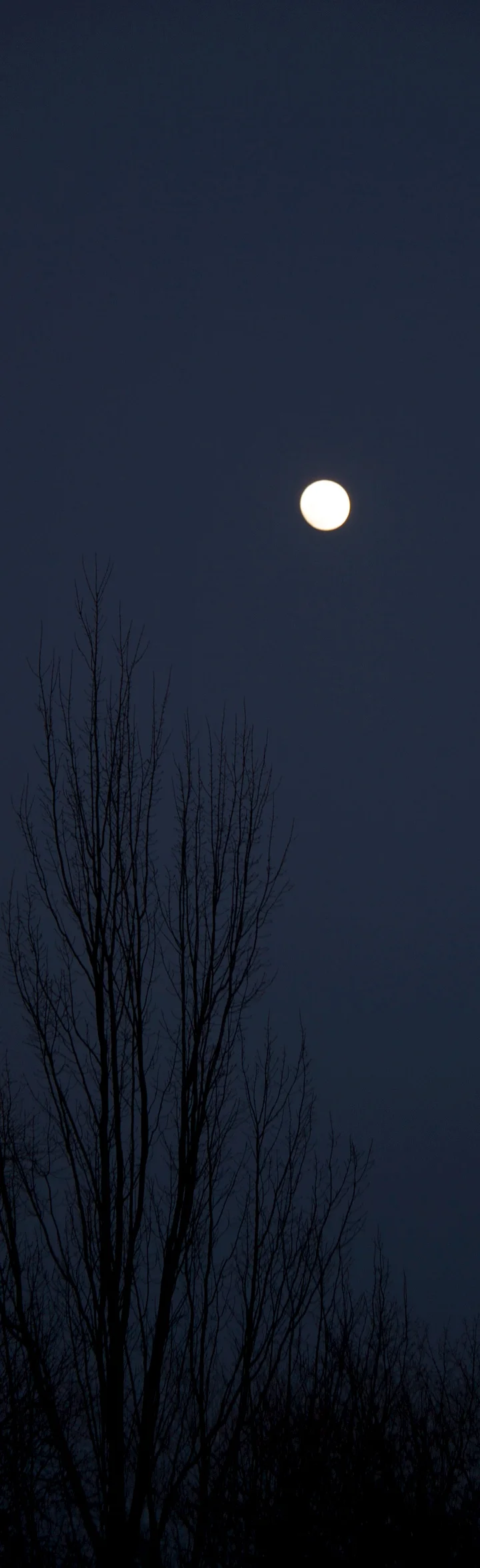 night sky