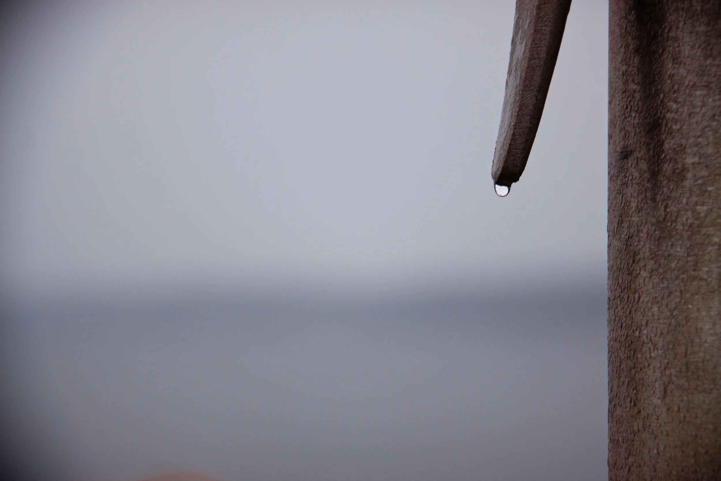 Fog