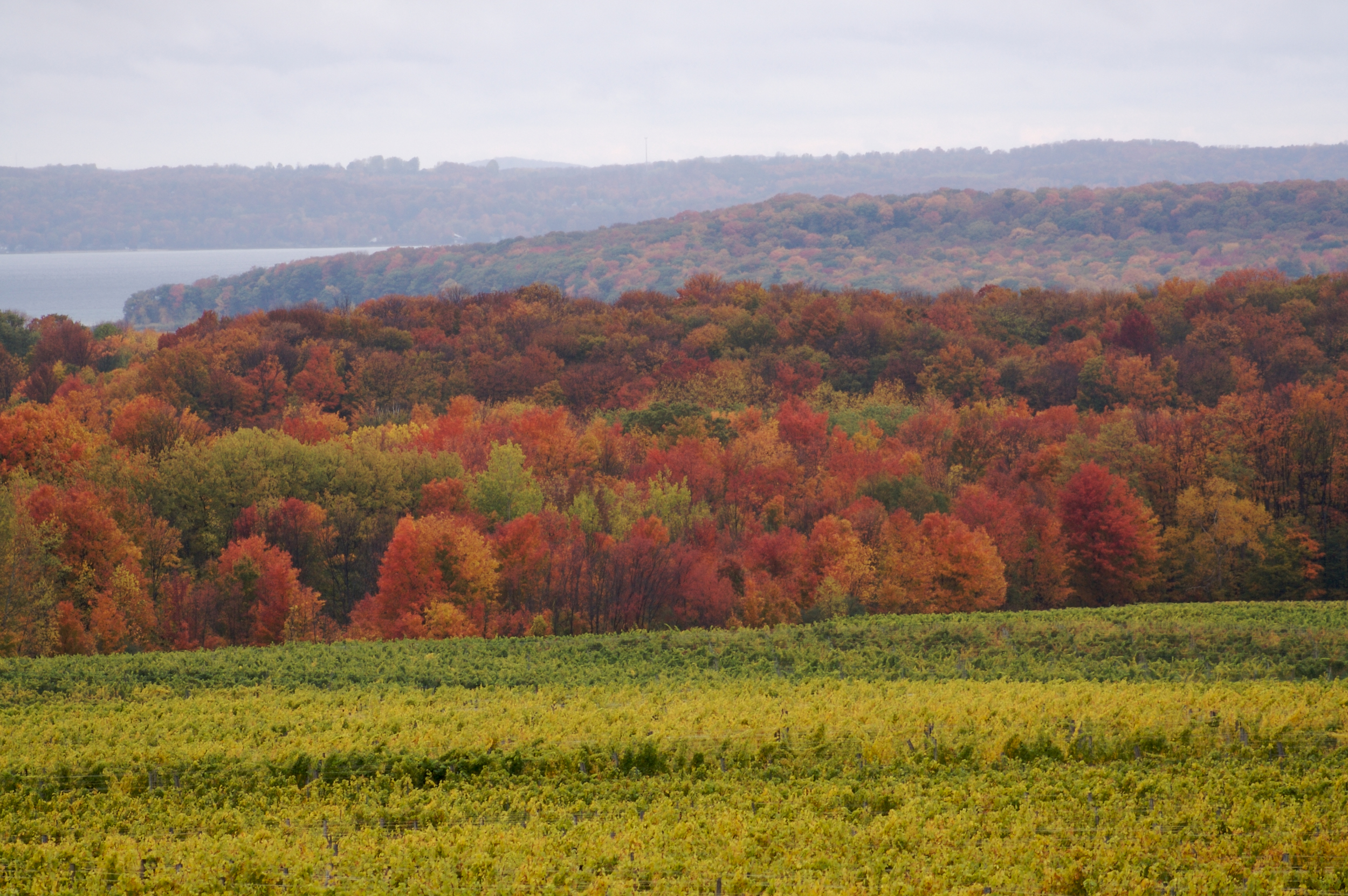 fall on the peninsula