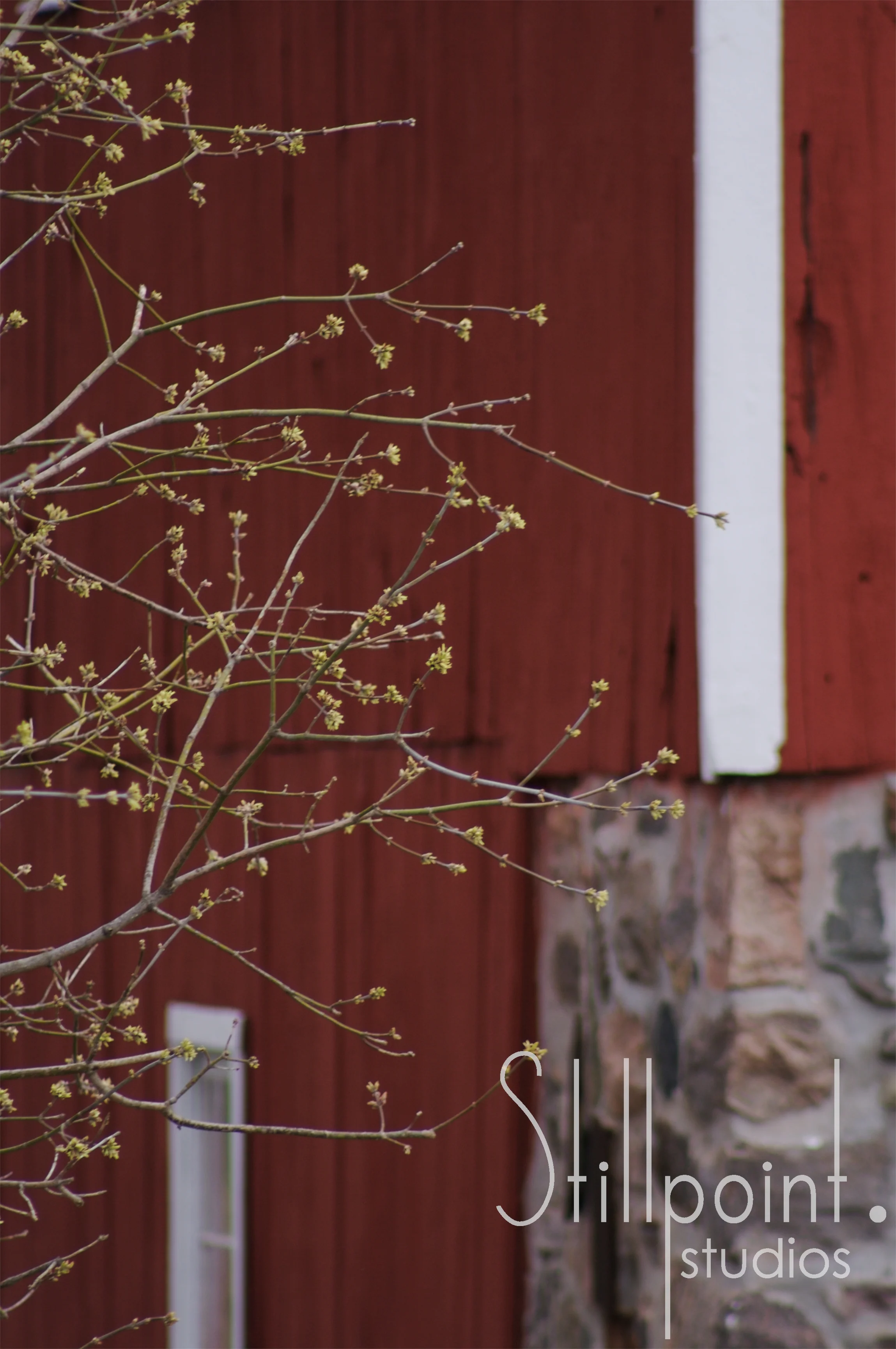 spring on red