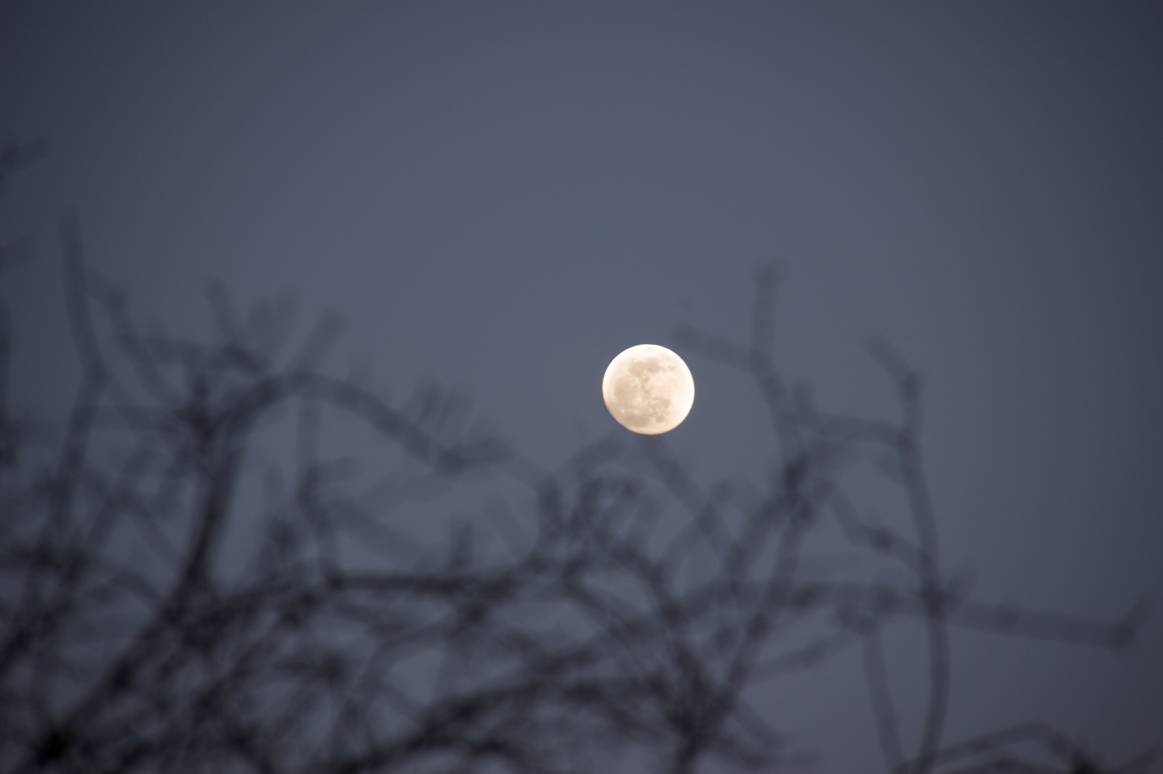 full moon