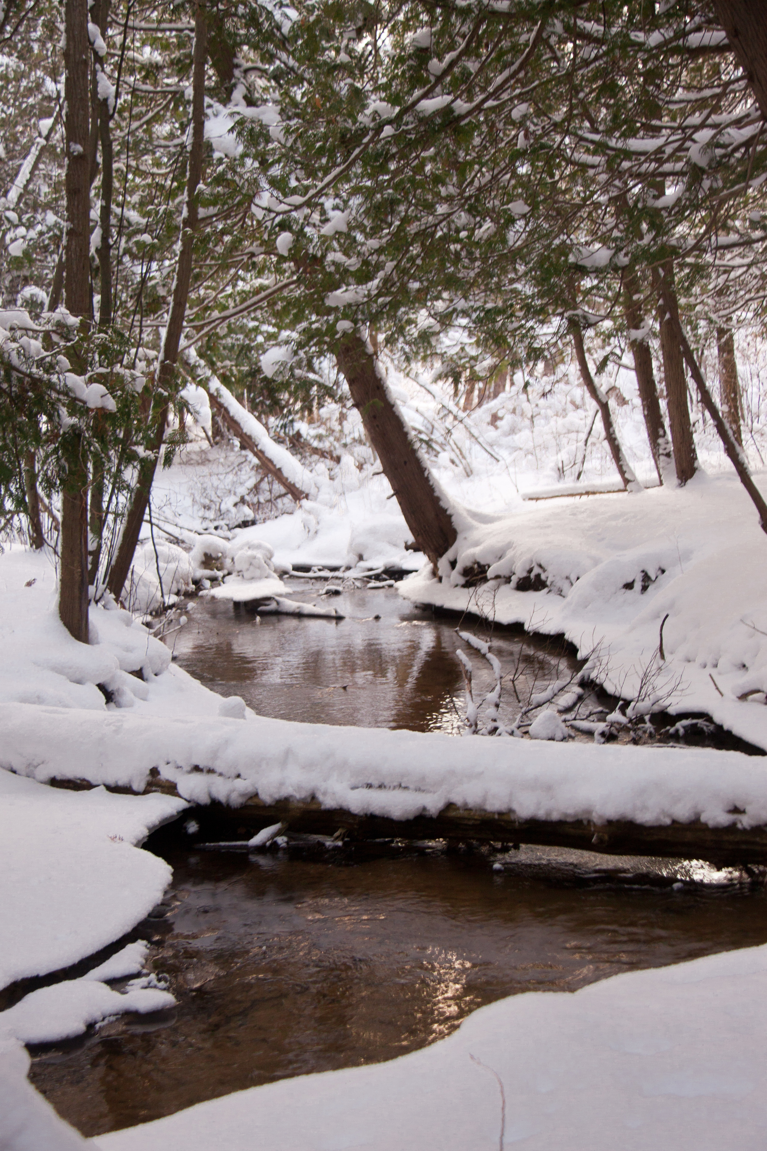 winter stream