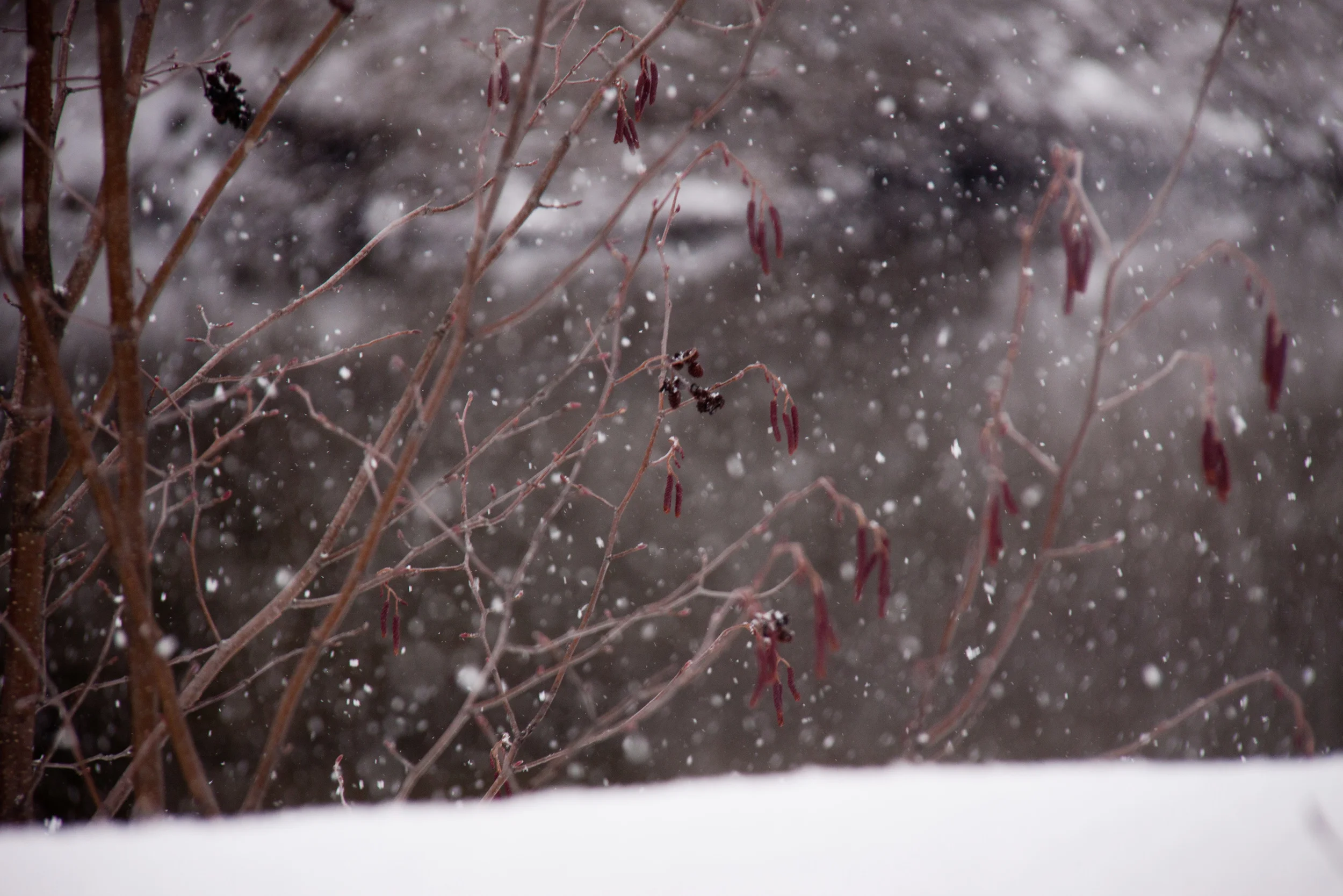 snowing