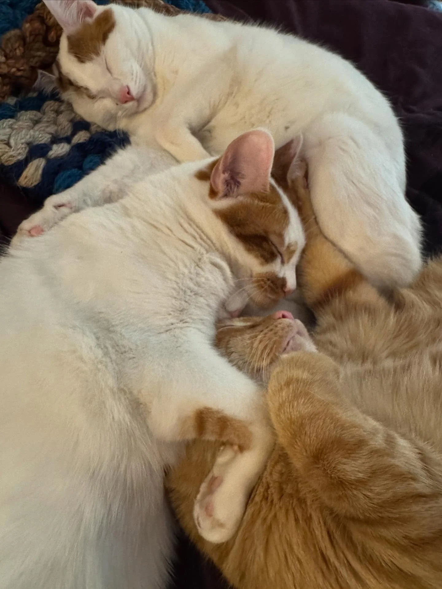 Home. I think I am forgiven for leaving