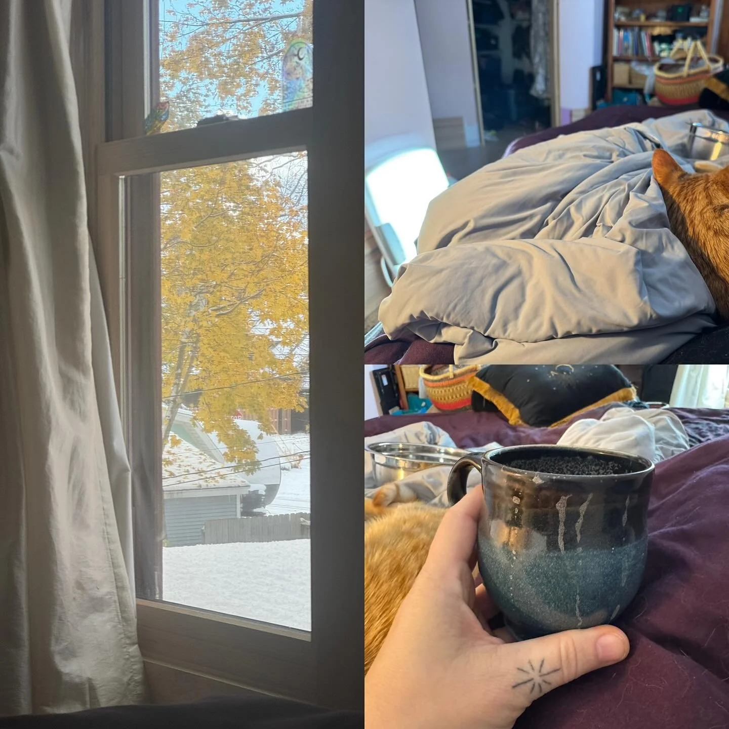 It did wait until after Halloween so I won&rsquo;t complain tooo much. But I am managing my feelings about the snow by snuggling a kitten while my sun light lamp shines in my face and drinking coffee&hellip; I also have decided to let said kitten dic