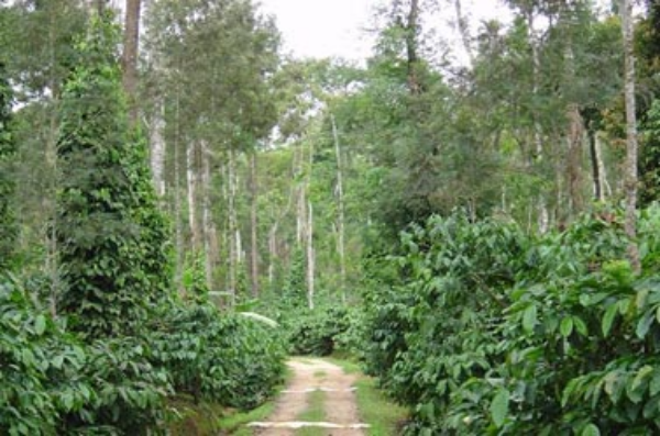 A Harmonizer Water Structuring Unit will benefit even a pristine farm in India