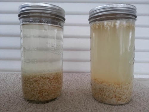 structured water