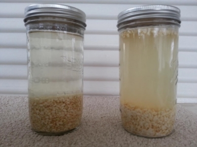 The water on the left was treated with a Hydro Energiser while the water on the right came straight from the tap.