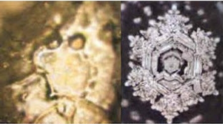 Water in a natural state reveals a crystalline structure, whereas polluted water reveals a chaotic state. Photos from Emoto’s lab.