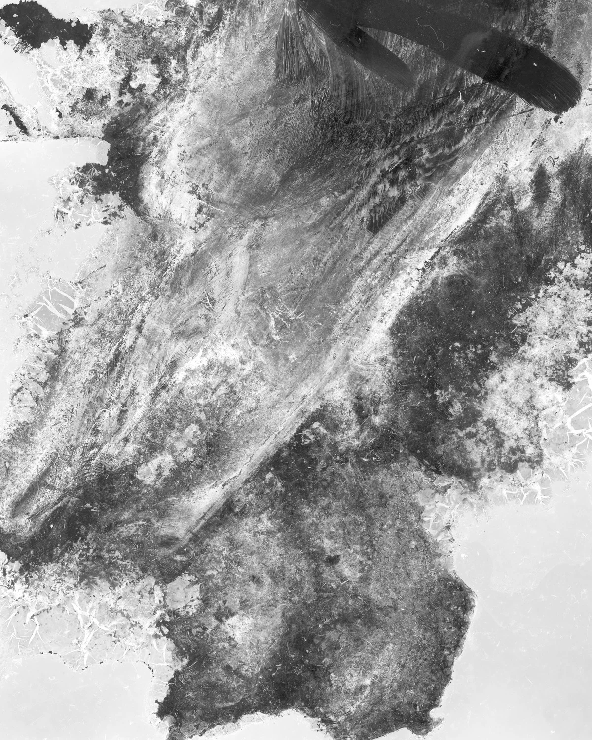 Bomb Cyclone Starling_1.jpg