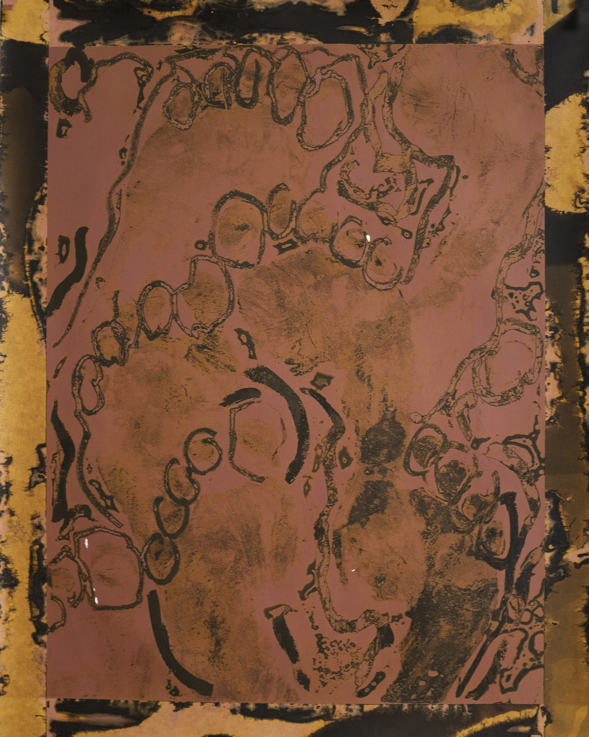 Many Steps. Silver Gelatin Chemigram, 11x14