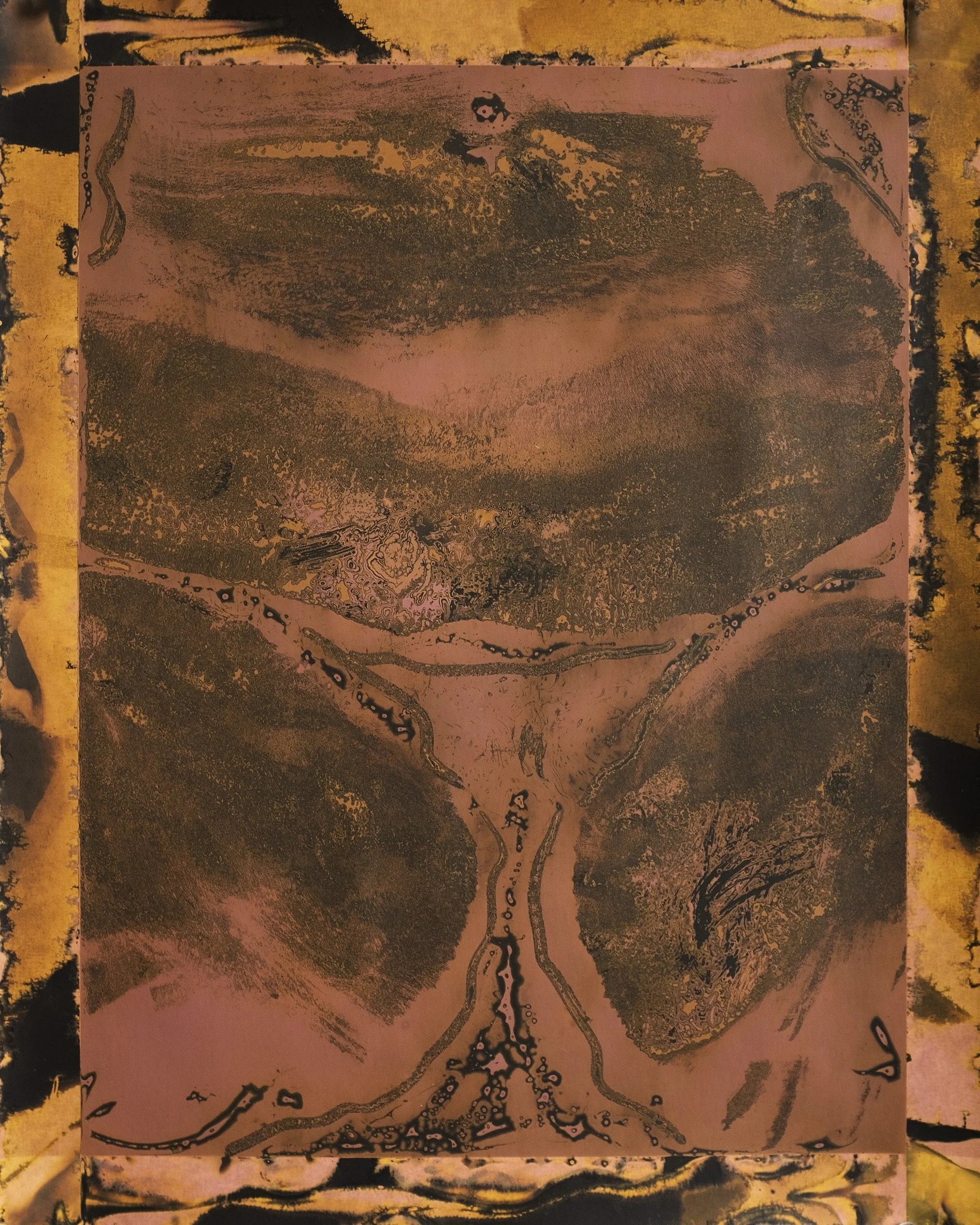 Pressed. Silver Gelatin Chemigram, 11x14