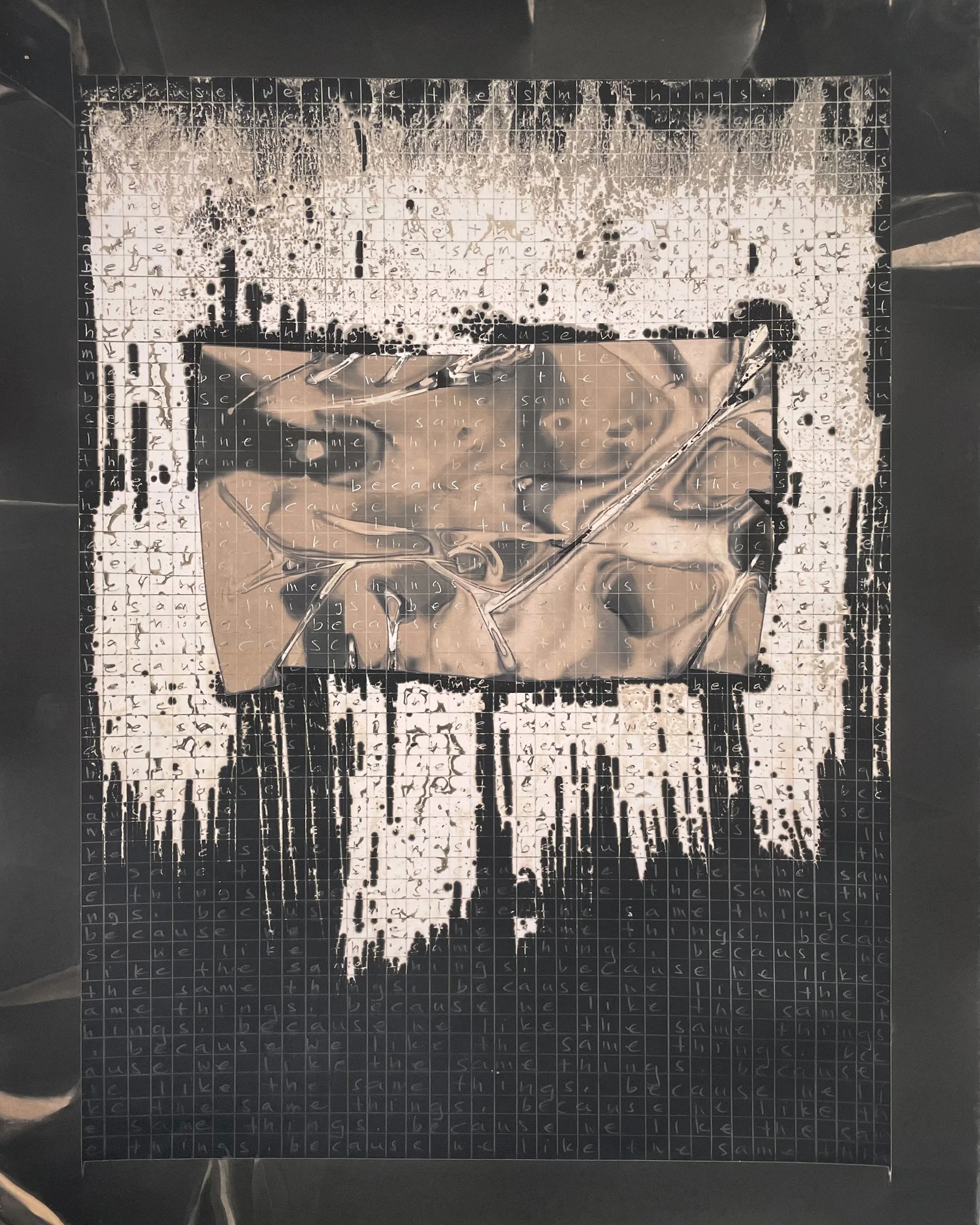 Because We Like the Same Things. Silver Gelatin Chemigram, 11x14