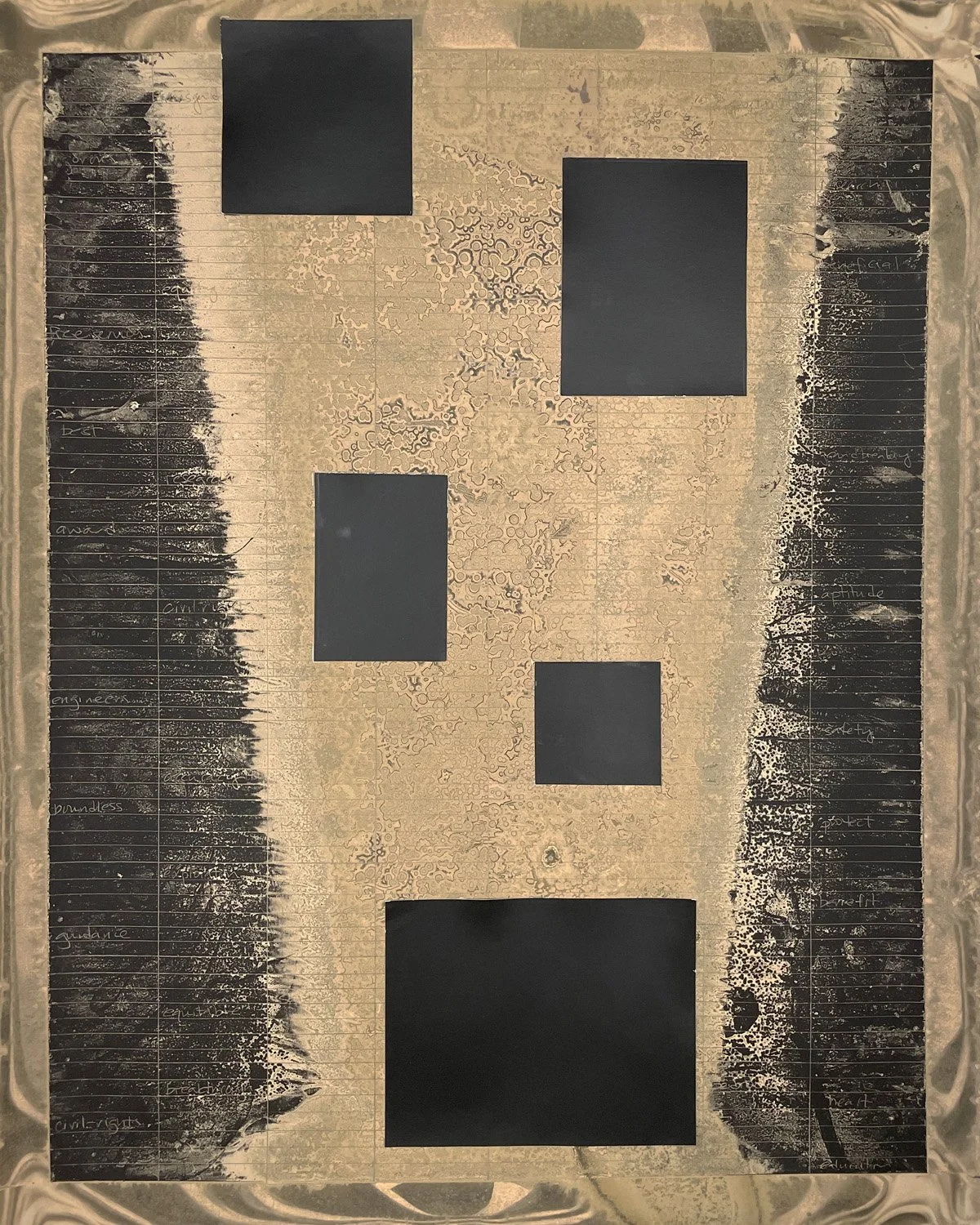 Executive Orders: What We're Losing. Silver Gelatin Chemigram Collage, 16x20