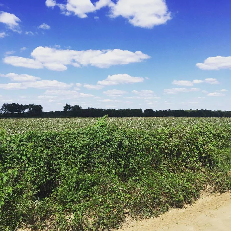 How Holiday Memories Shape Identity