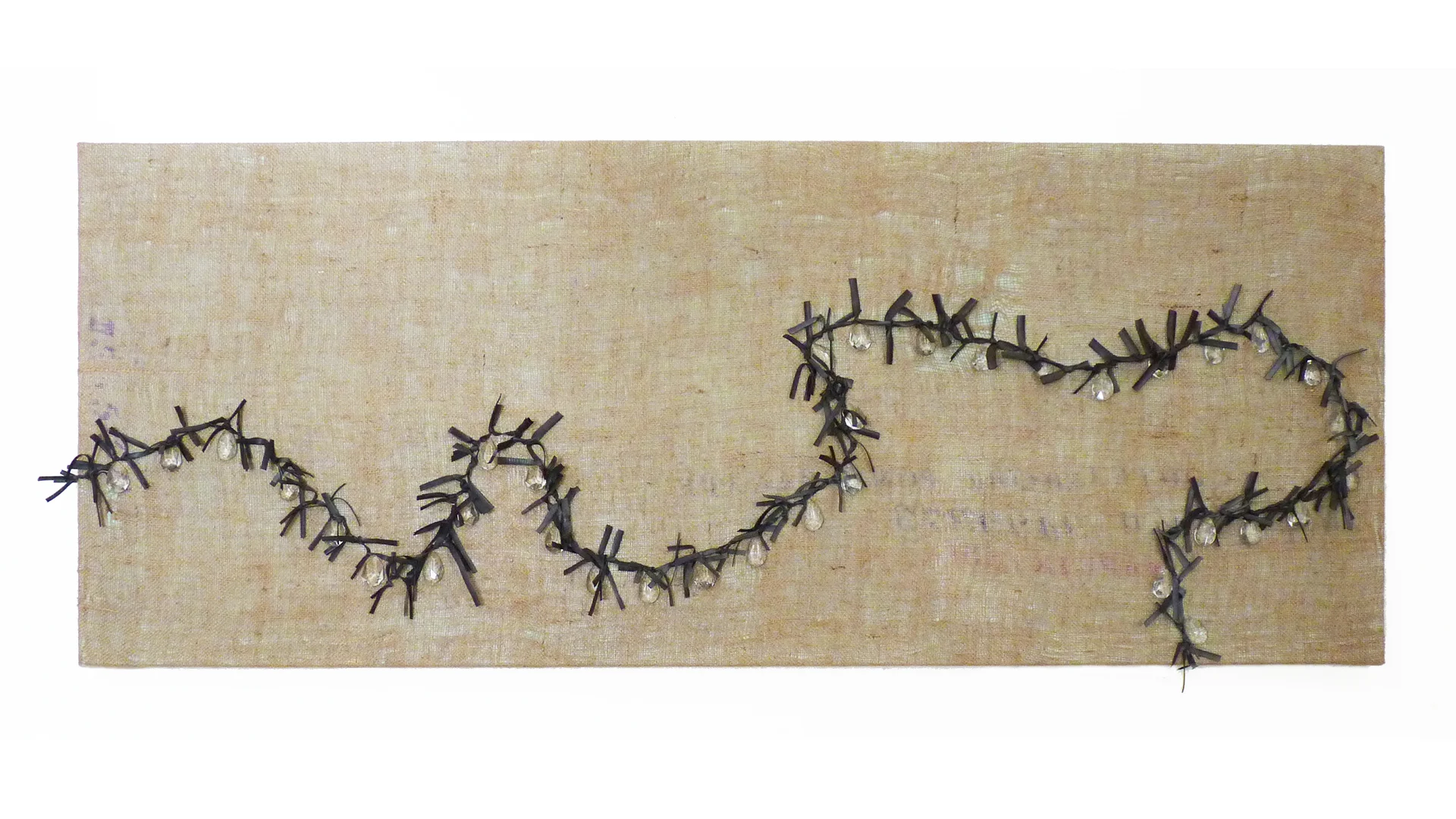 THE QUEEN'S SPINE 2011