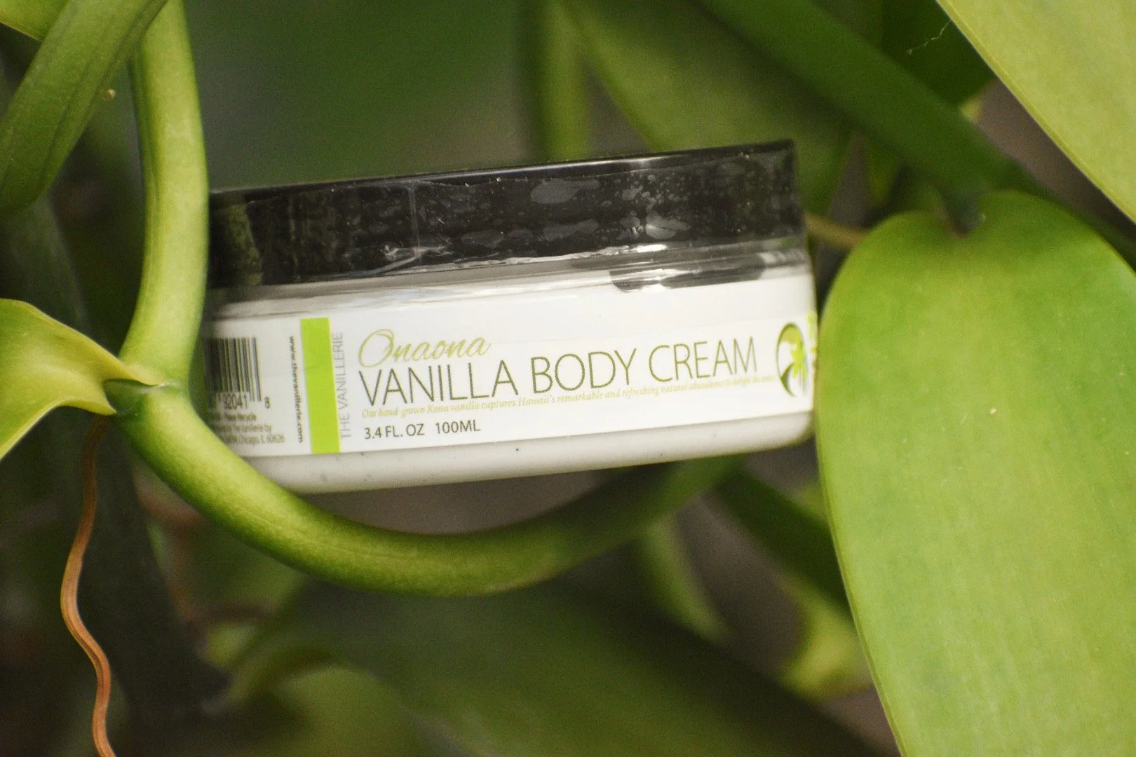 Vanilla Body Cream 3 oz.JPG