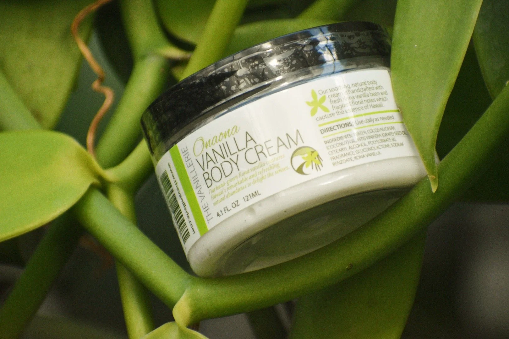 Vanilla Body Cream 4 oz.JPG