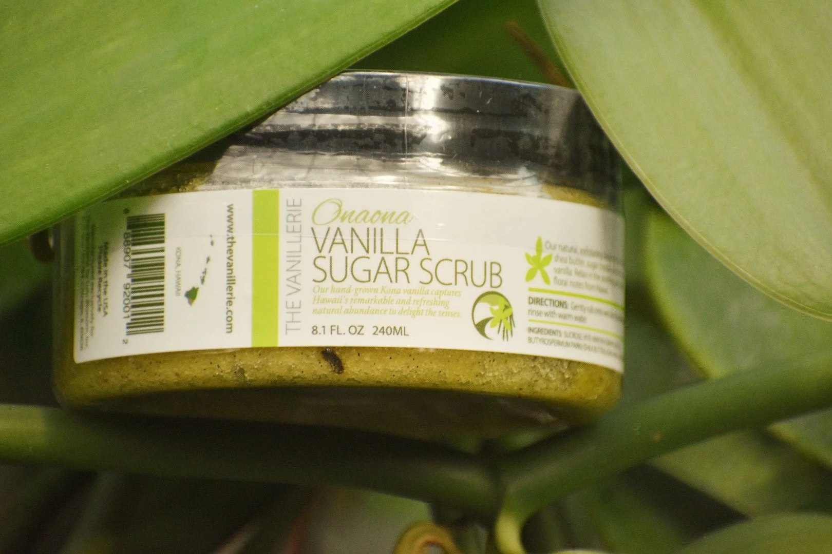 Vanilla Sugar Scrub 8 oz.JPG
