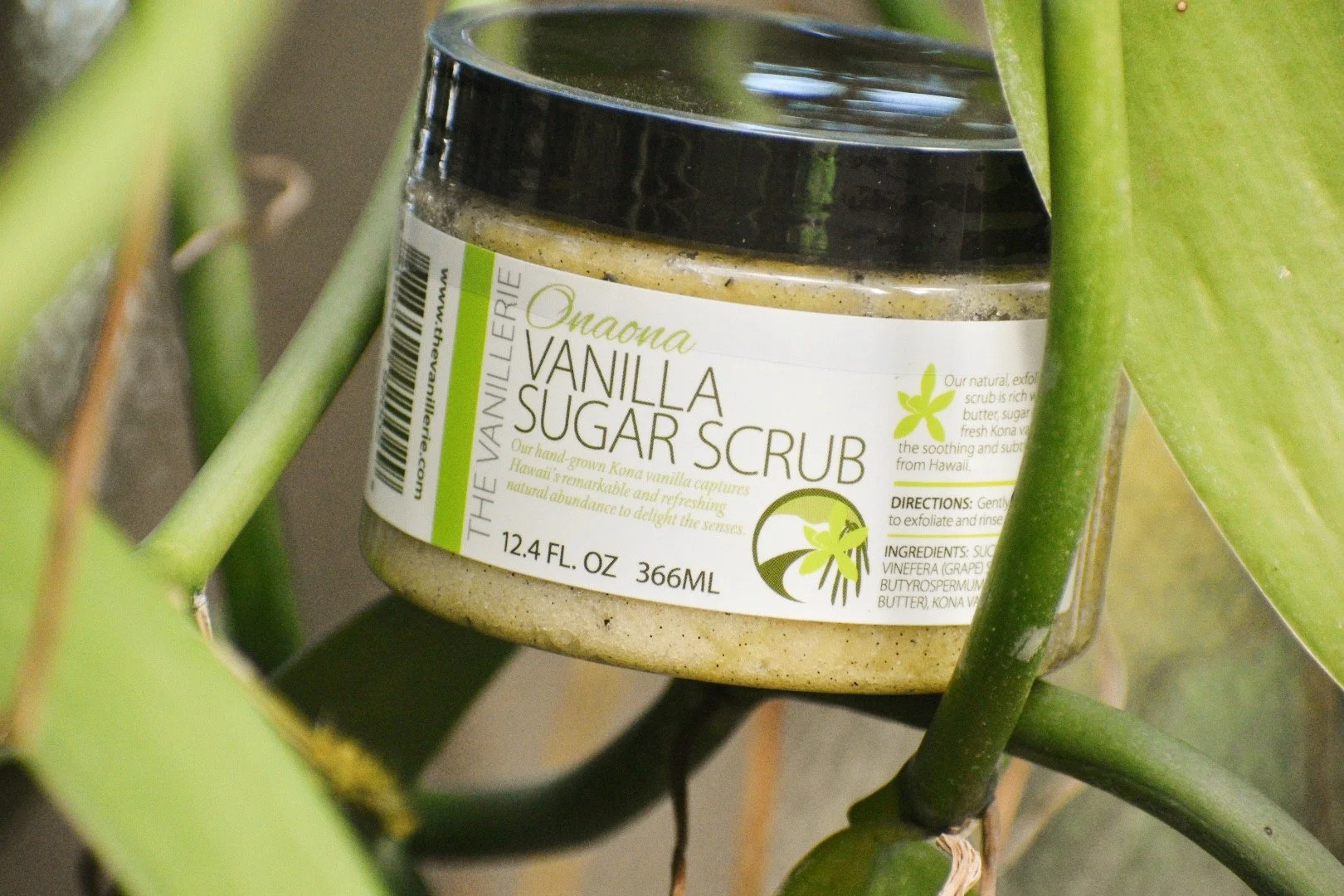 Vanilla Sugar Scrub 12.4 oz.JPG