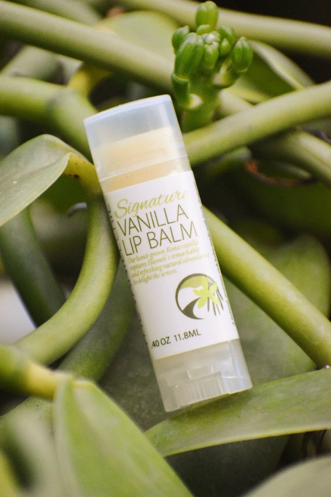 Vanilla Lip Balm.JPG