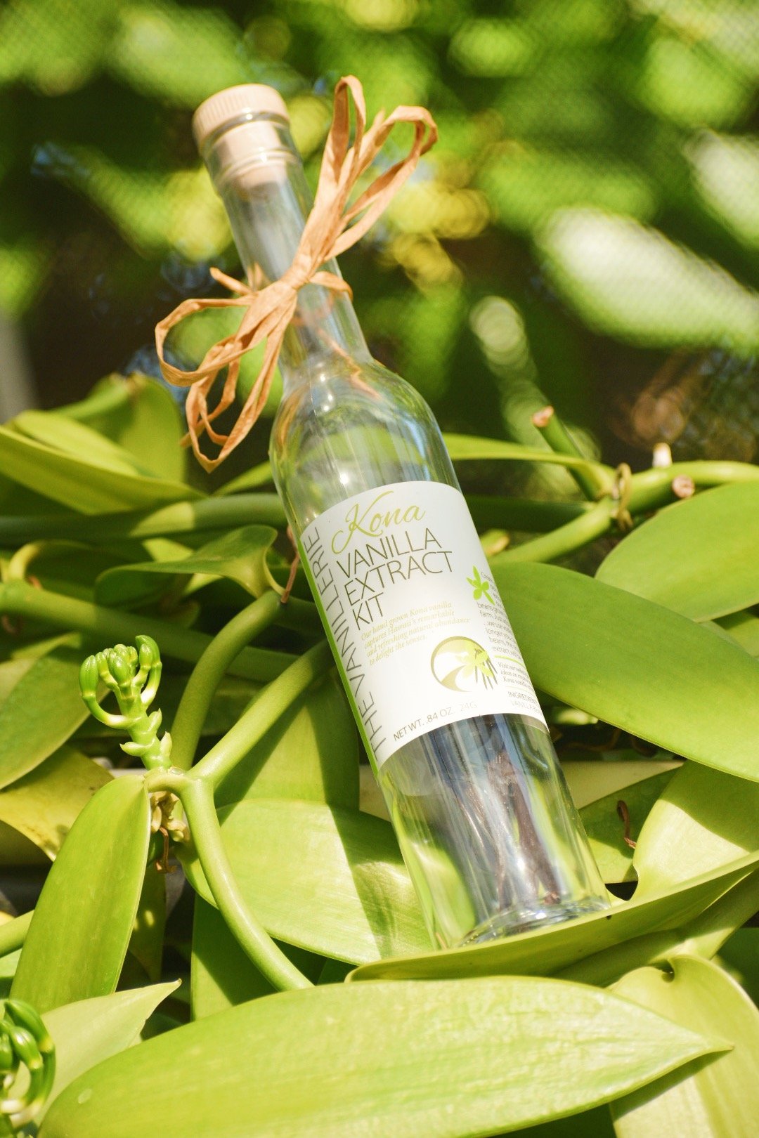 Vanilla Extract Kit.JPG