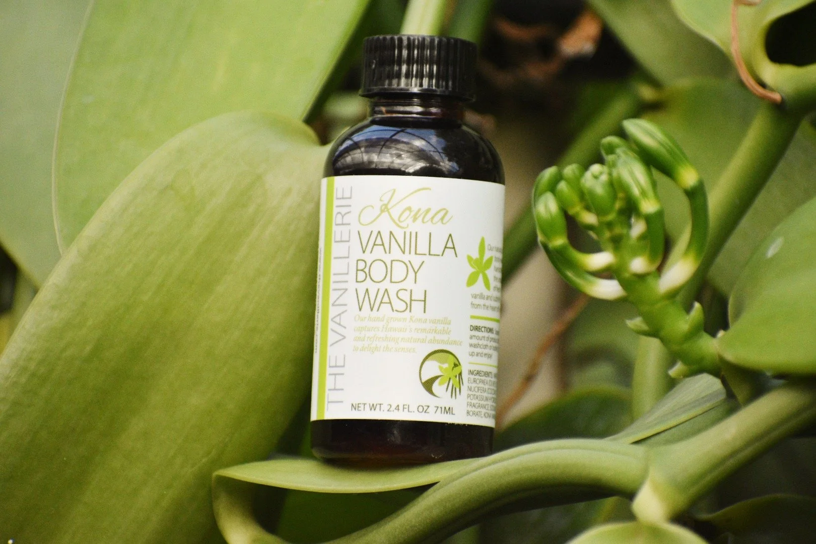 Vanilla Body Wash 2 oz.JPG