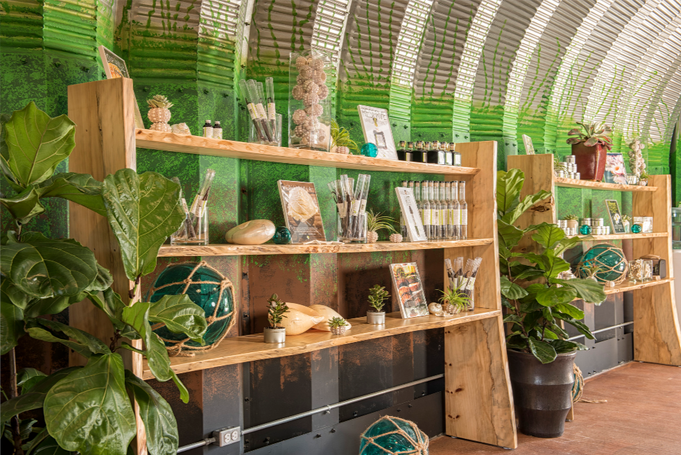 DIY Vanilla Extract Kit