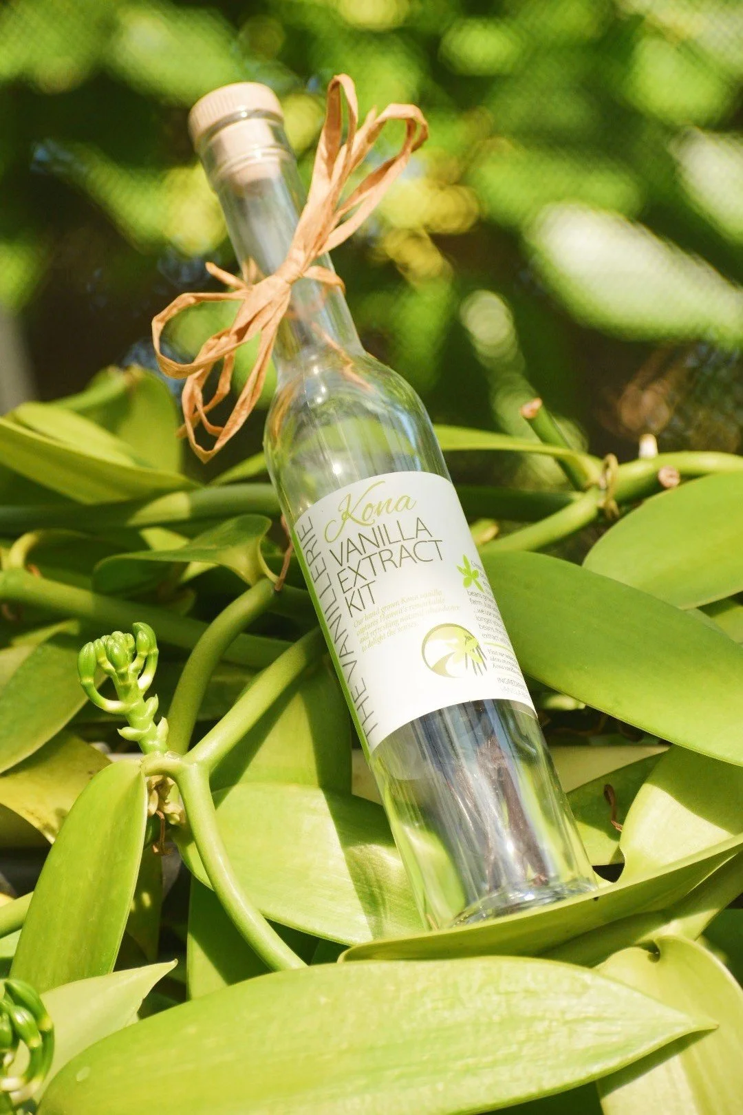 D1199BEE-A776-403D-8B78-F2BE0BF0DDD0 - Edited.jpg